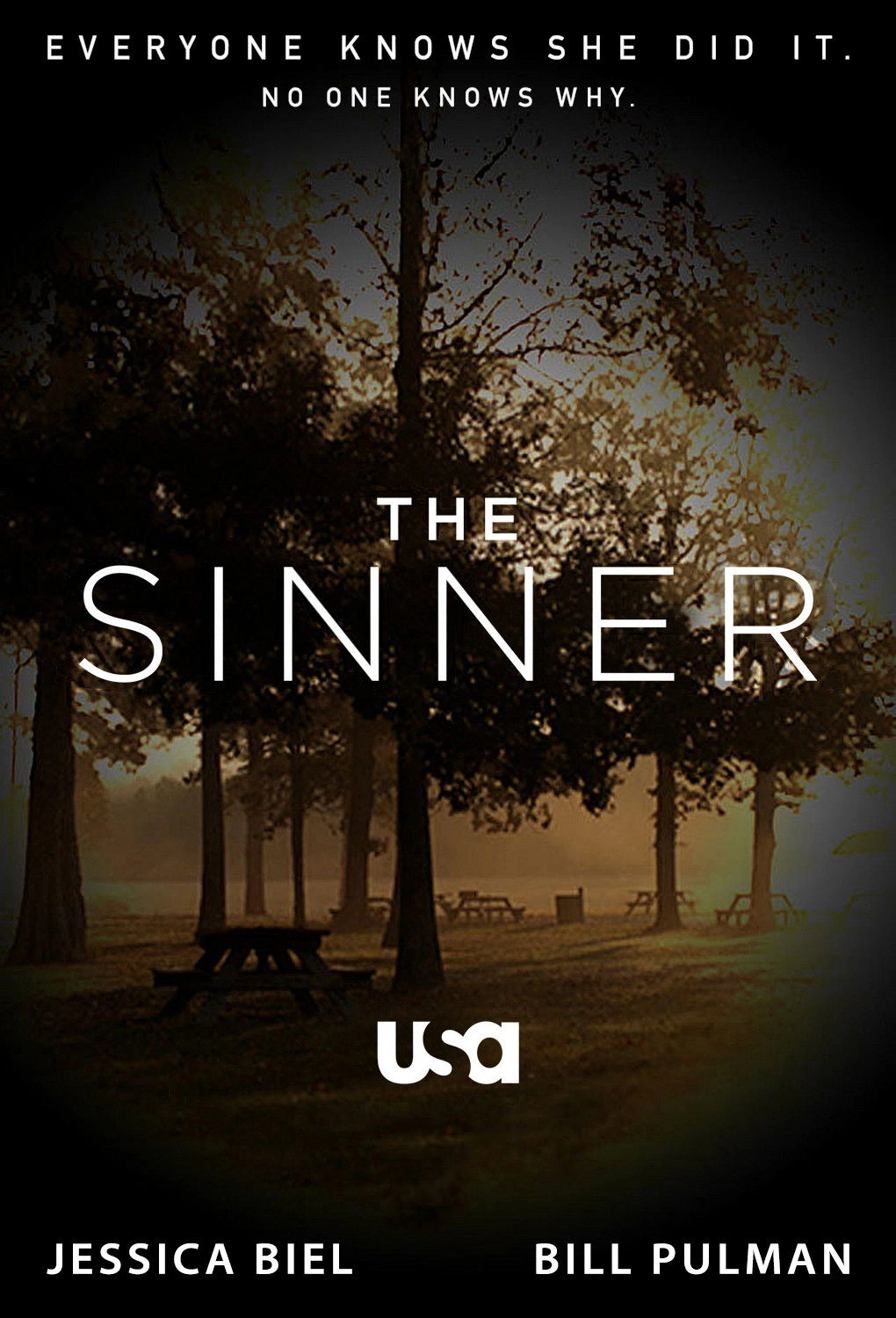 The Sinner