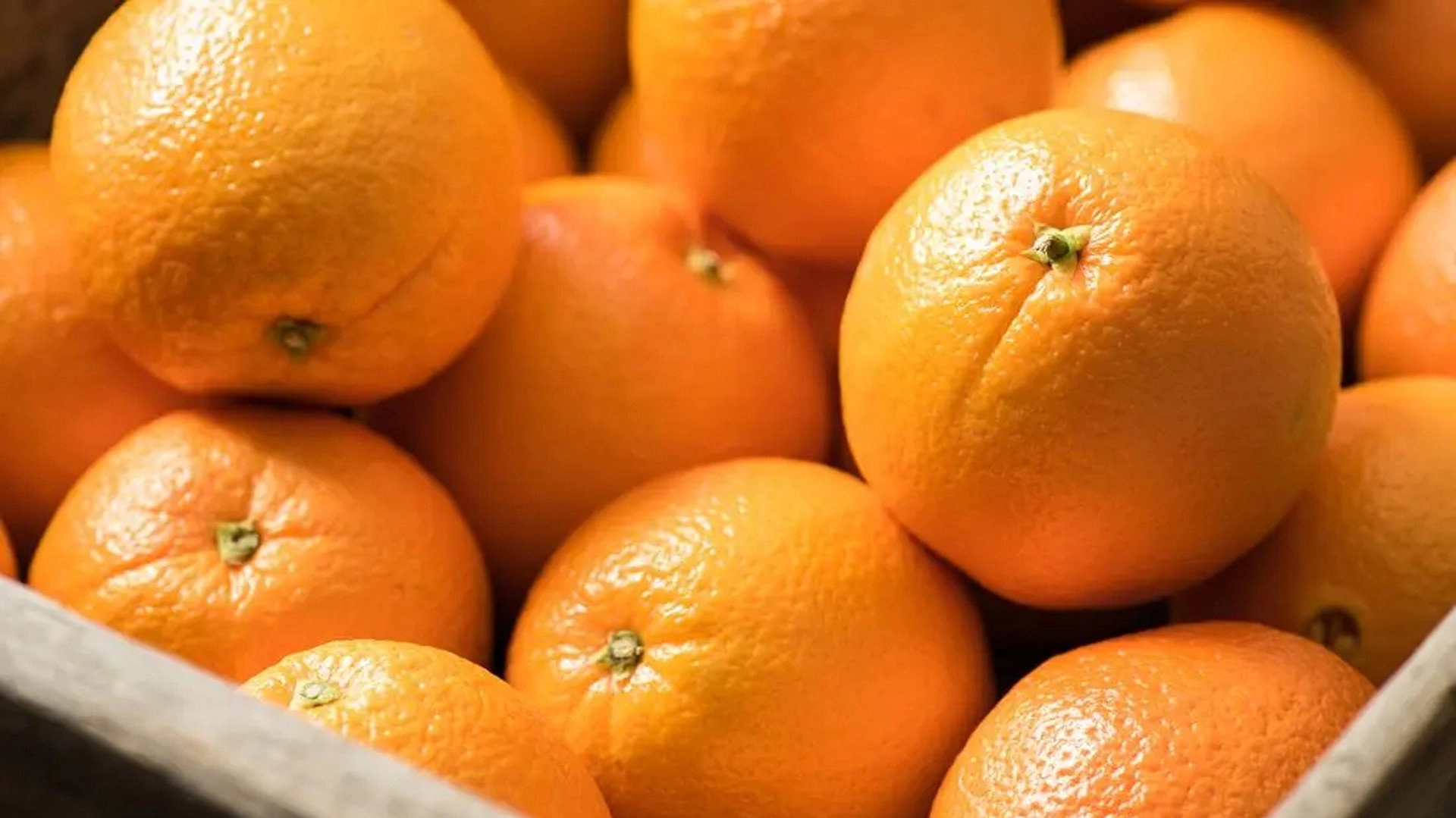 The Colour Orange