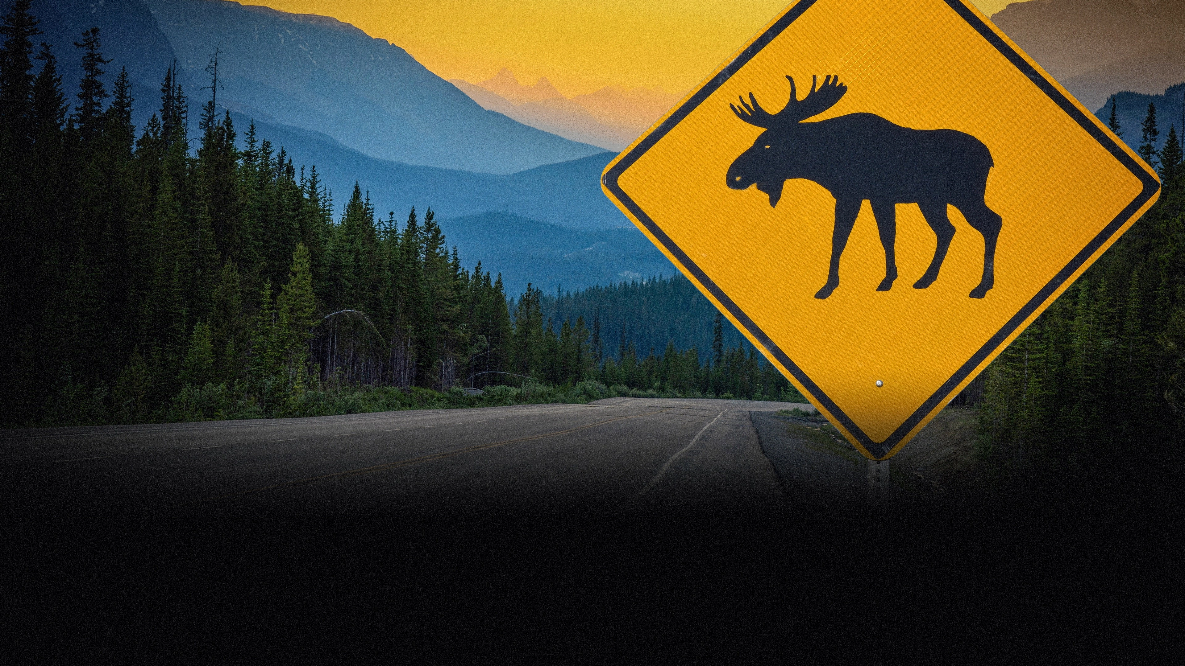 Griff’s Canadian Adventure