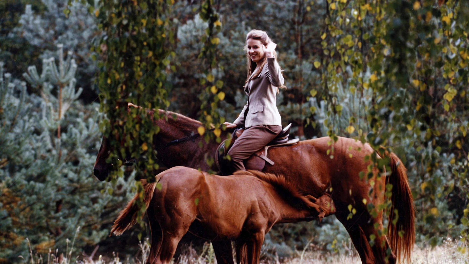 At Full Gallop