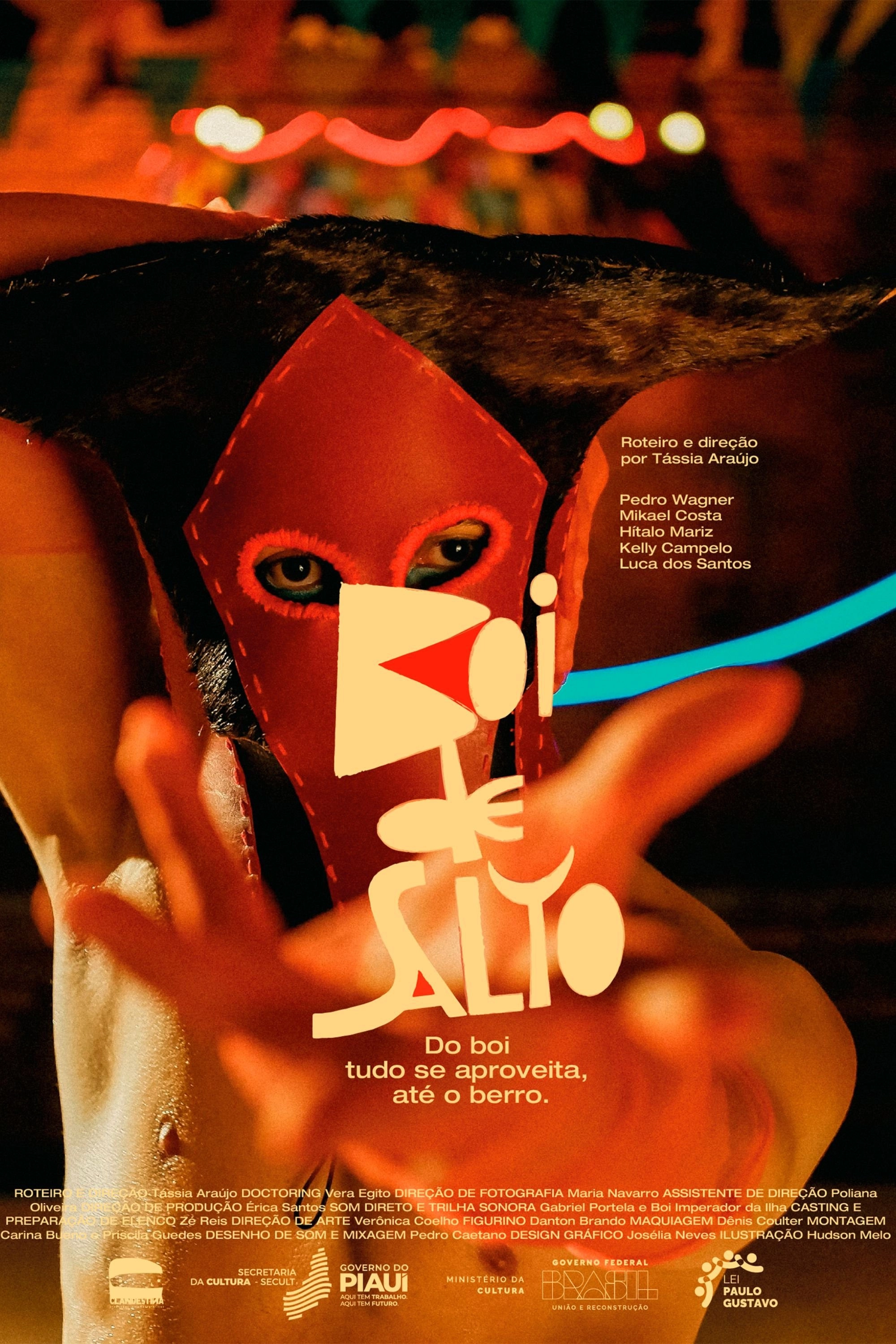 Boi de Salto