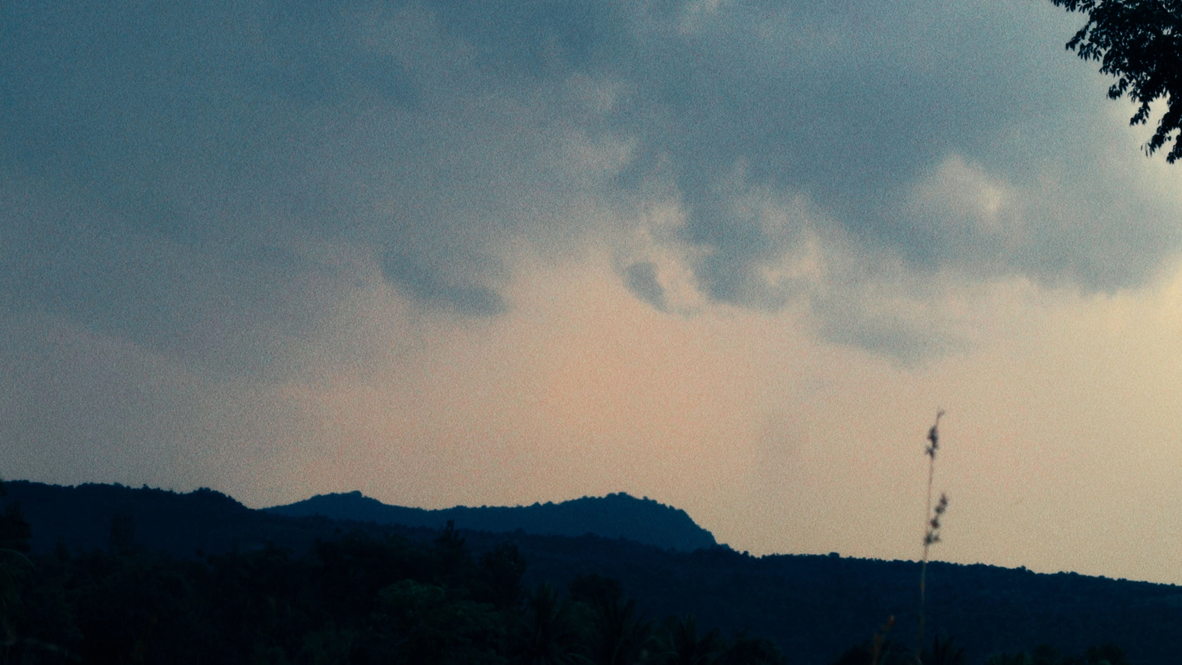 Surya Muluguttiddante