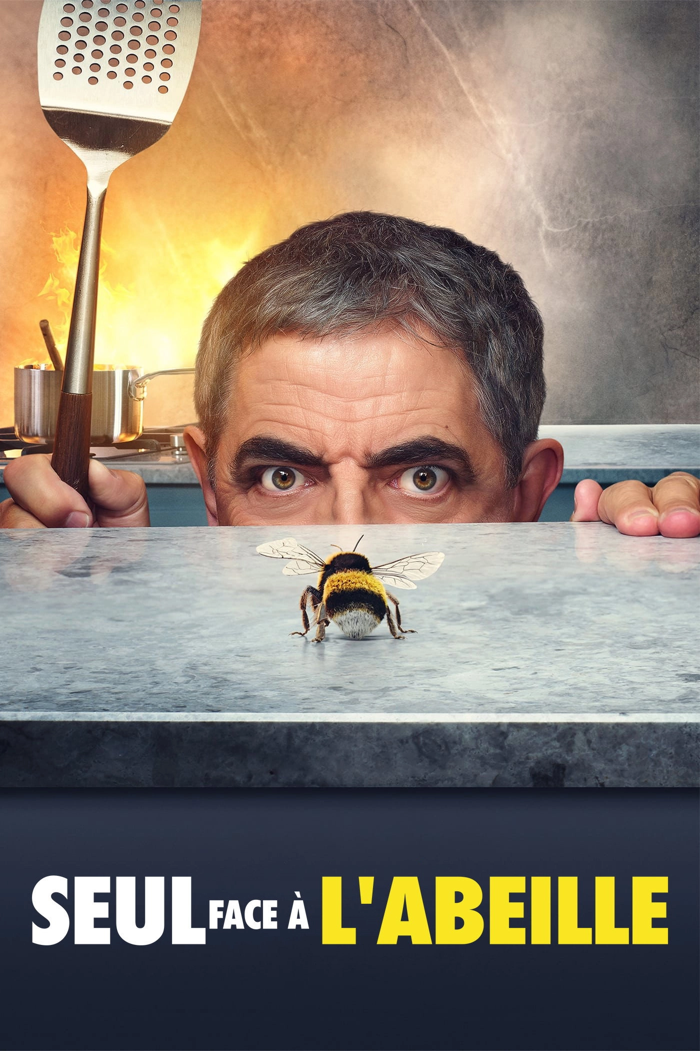 Man vs Bee