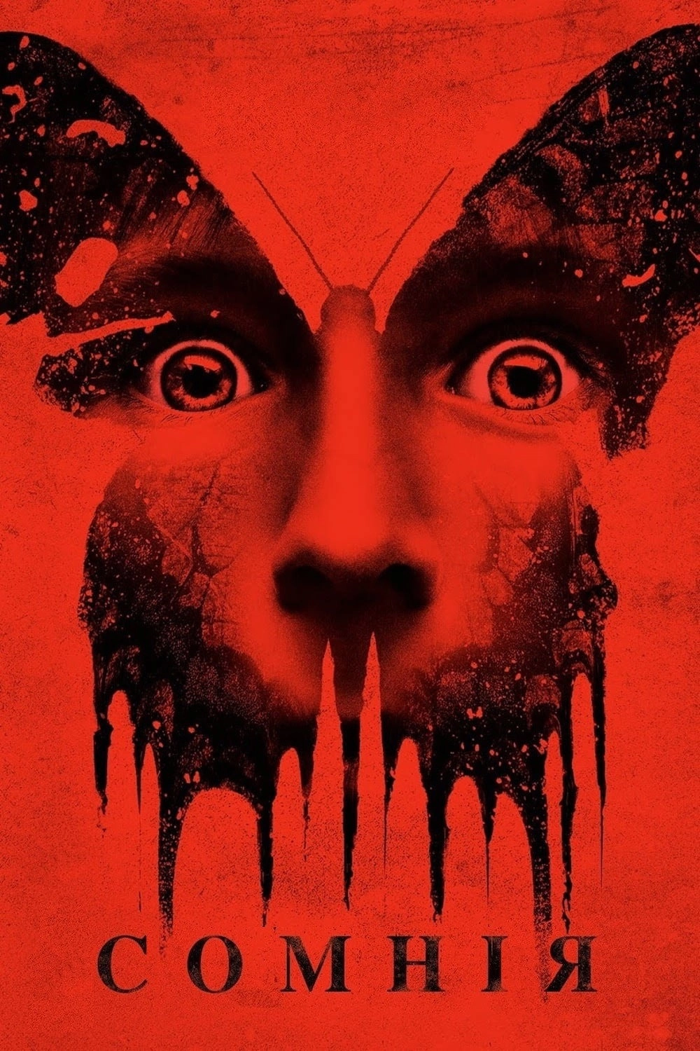 Before I Wake