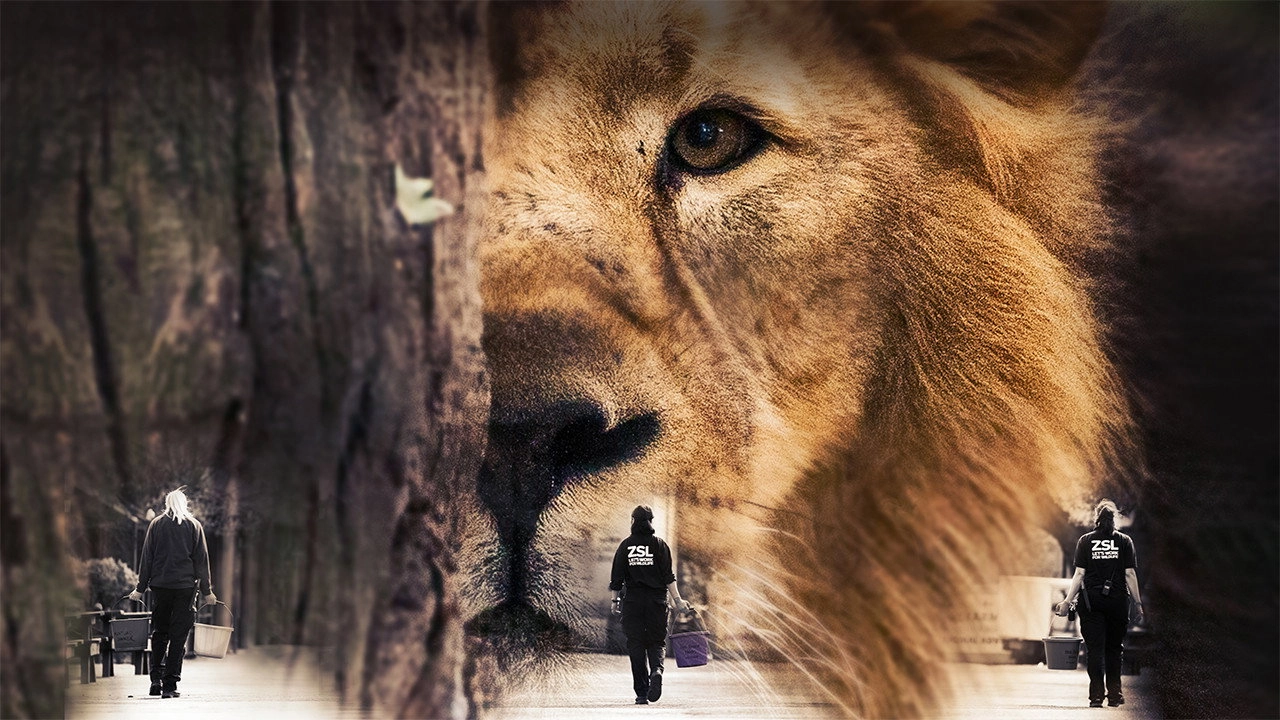 London Zoo: An Extraordinary Year