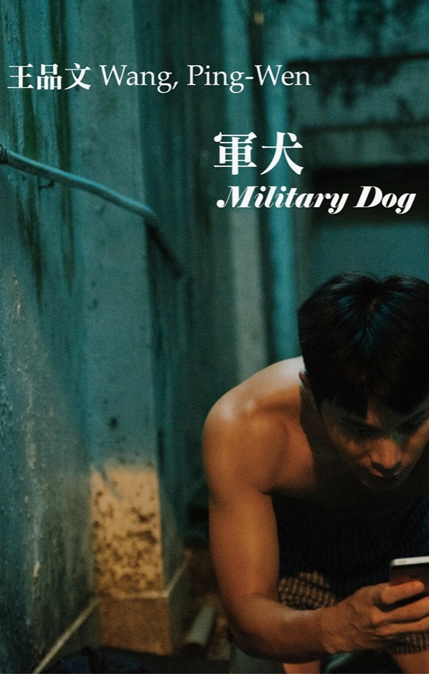 Military Dog