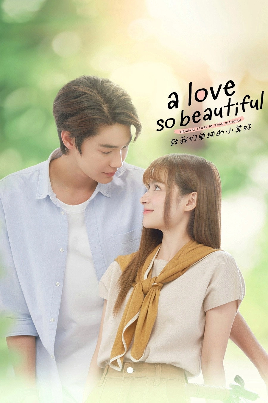 A Love So Beautiful
