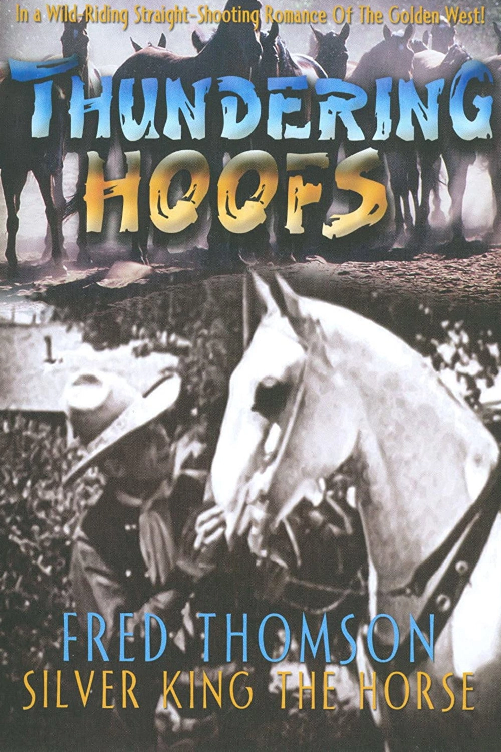 Thundering Hoofs