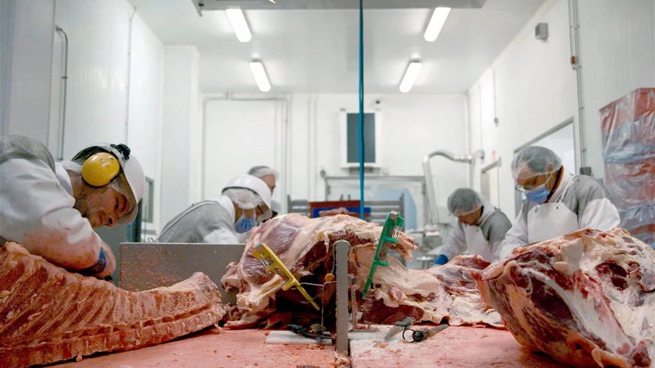 Production Line Animals