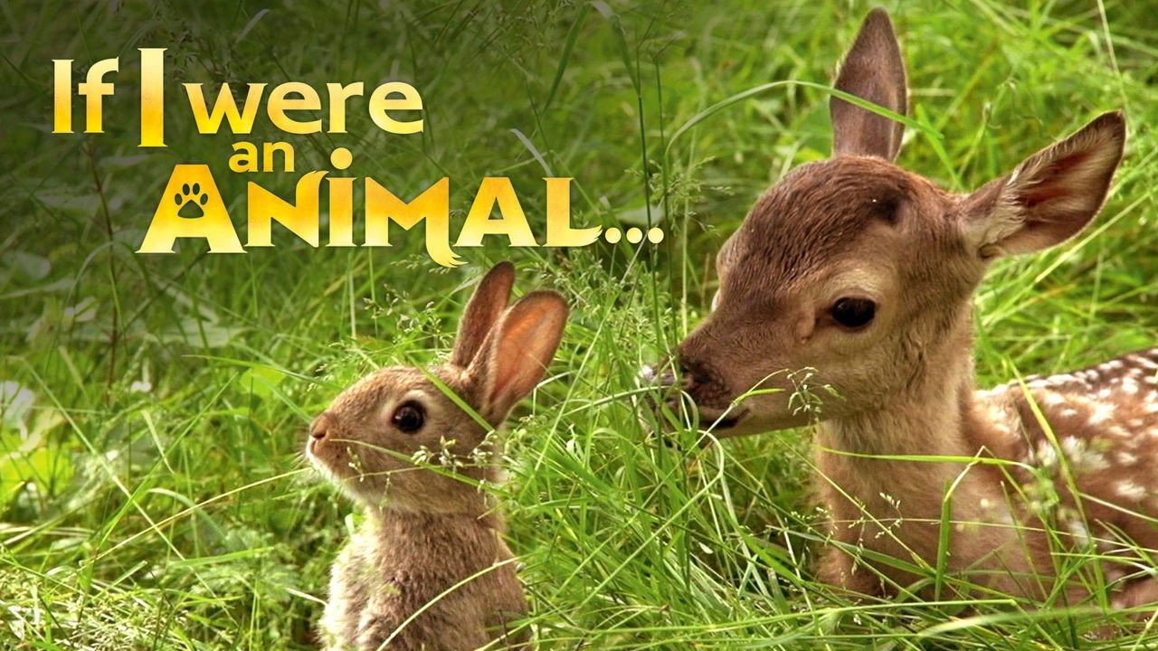 If I Were an Animal