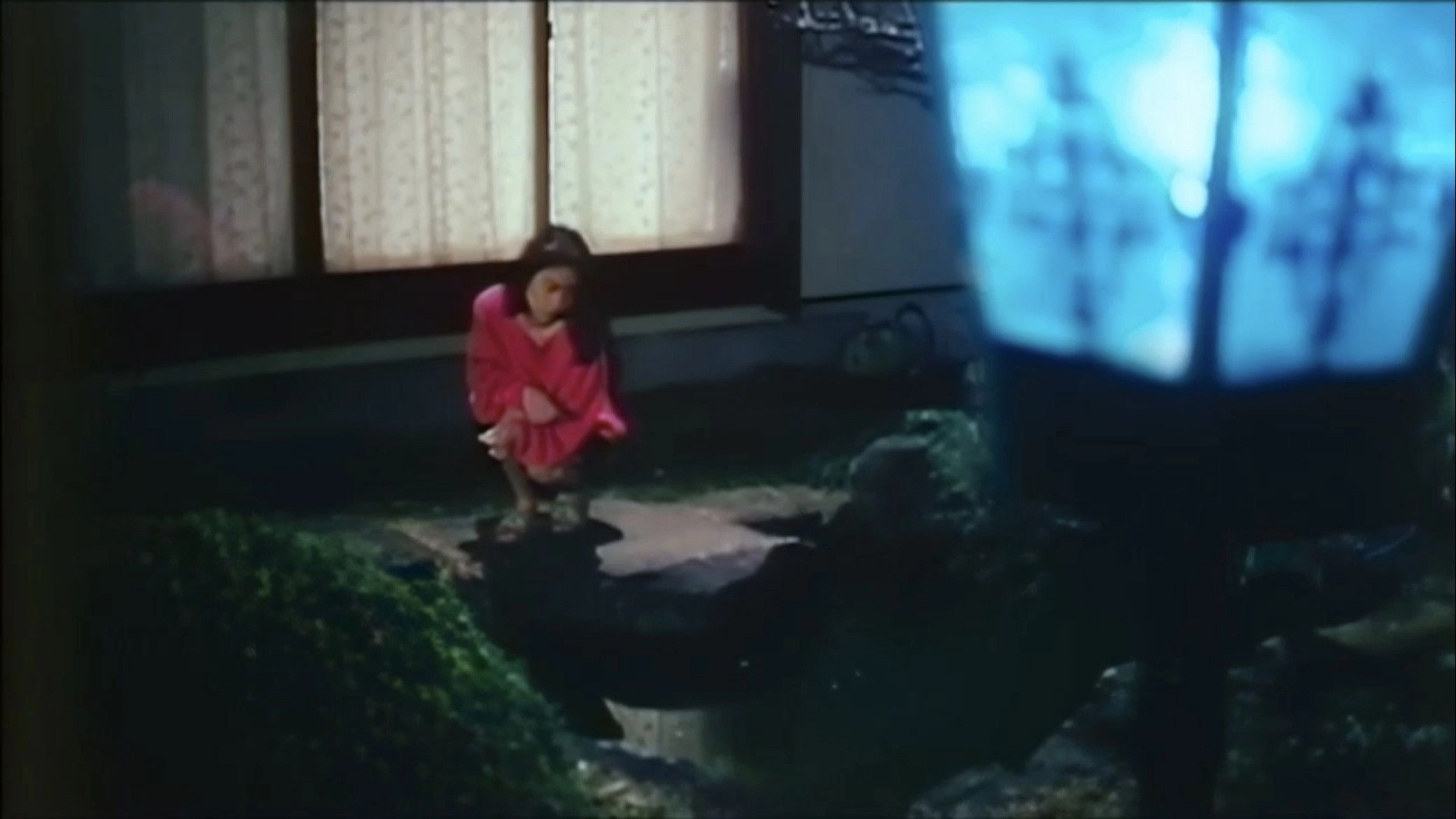 Gômon mizu-zeme