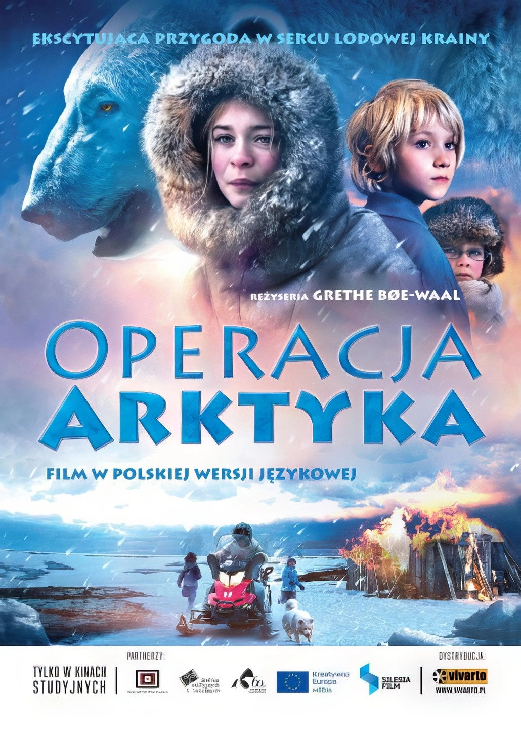 Operation Arctic