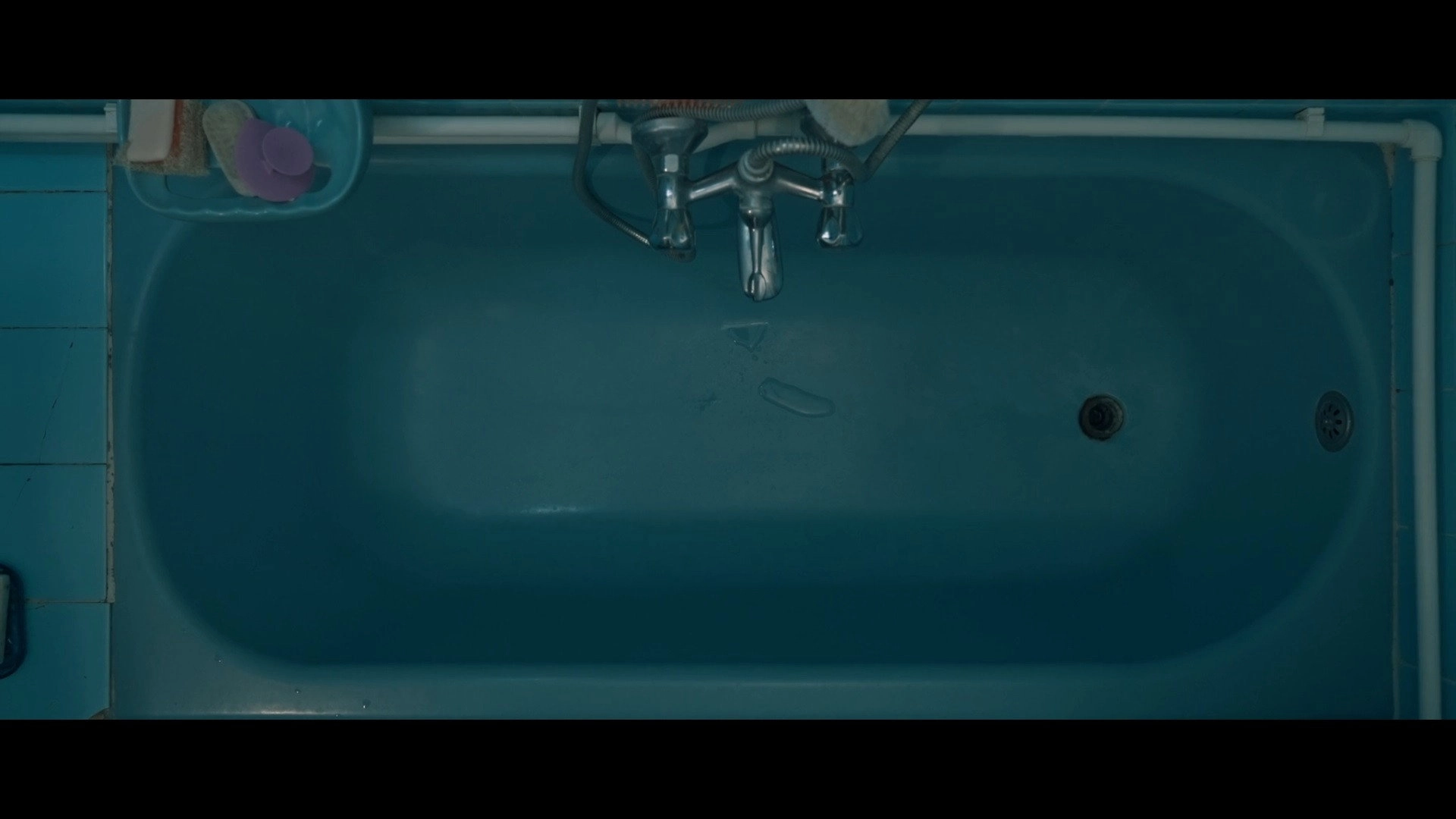 Hamam Böceği