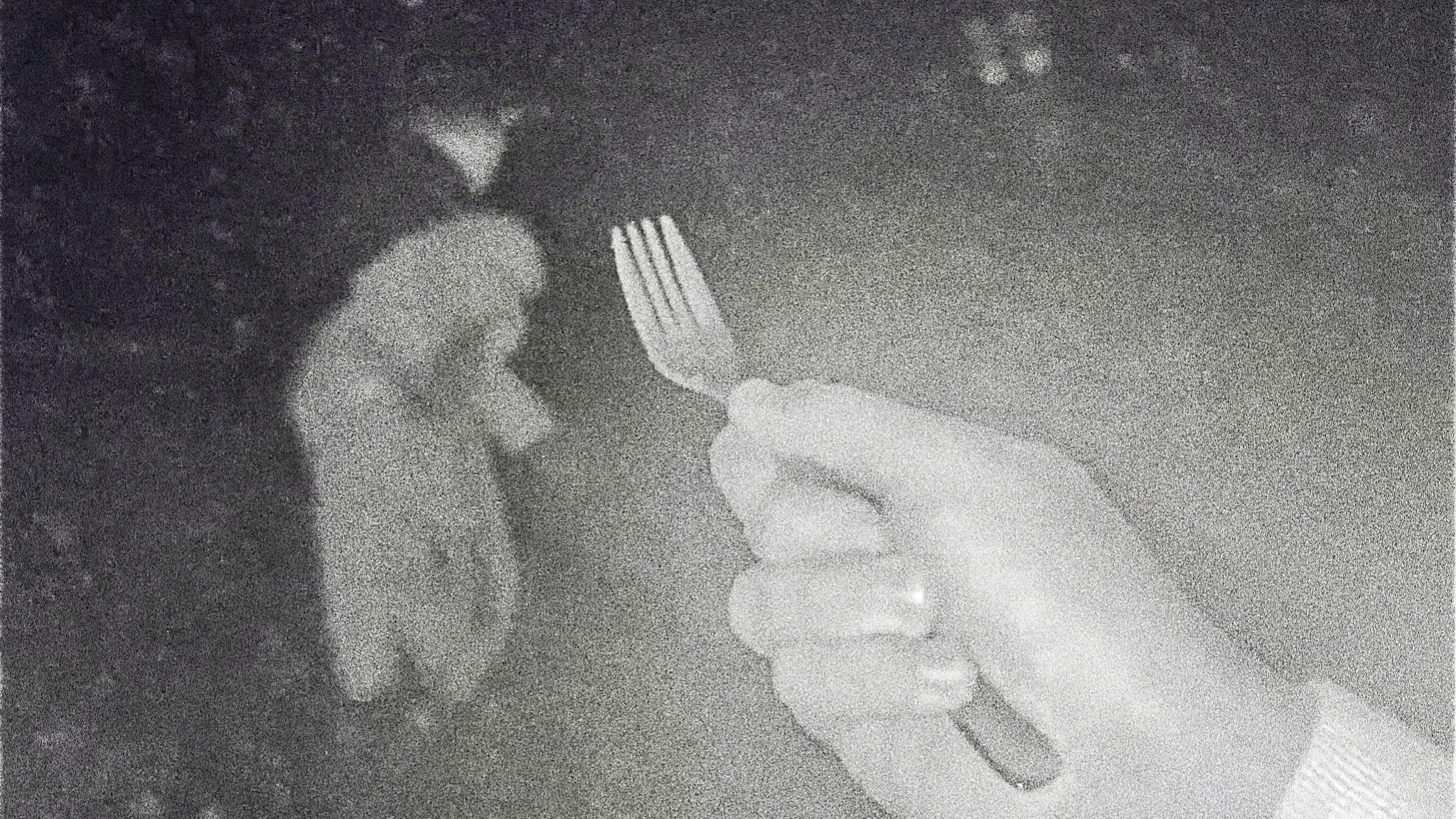 Pet Bunny