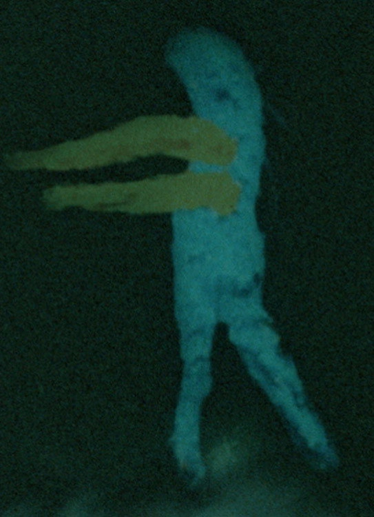 Final Obscura
