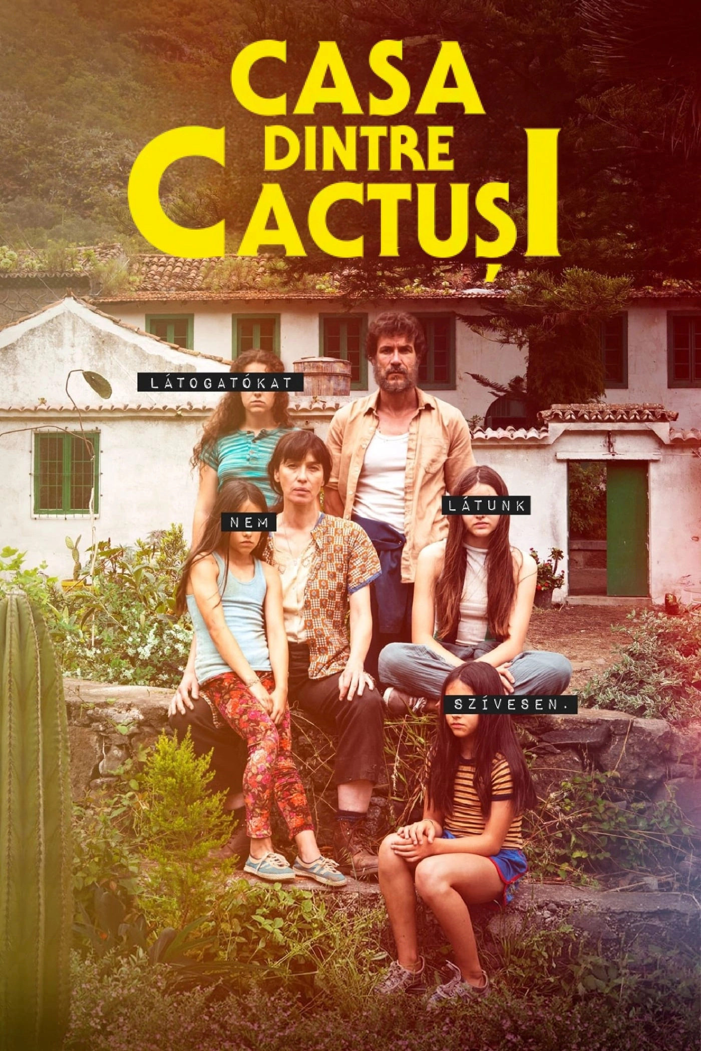 The House Among the Cactuses
