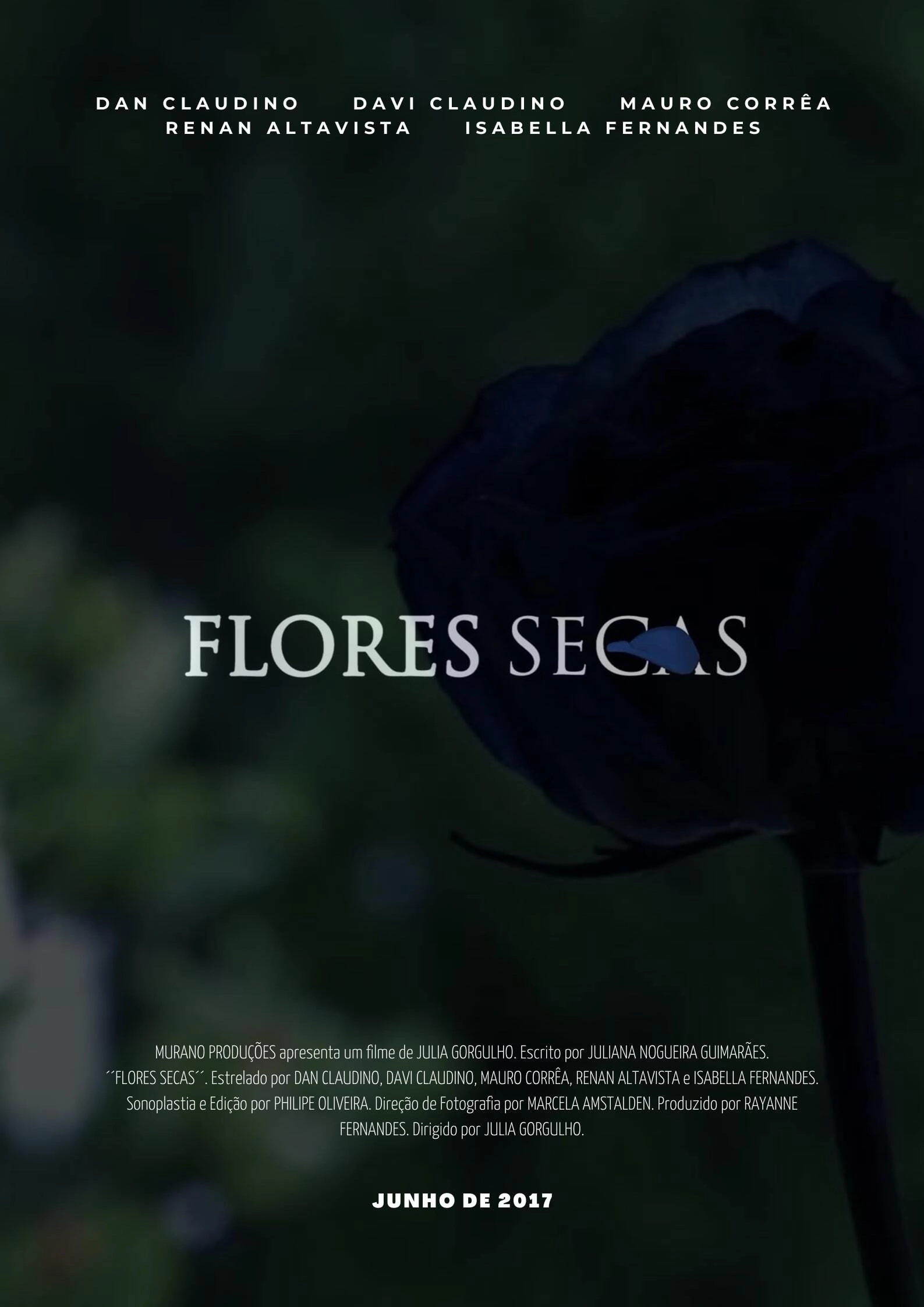 Dry Flowers