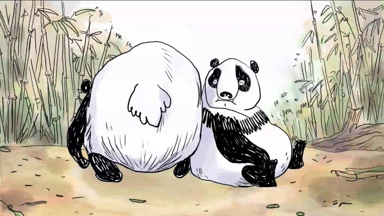 Pandas in the Mist