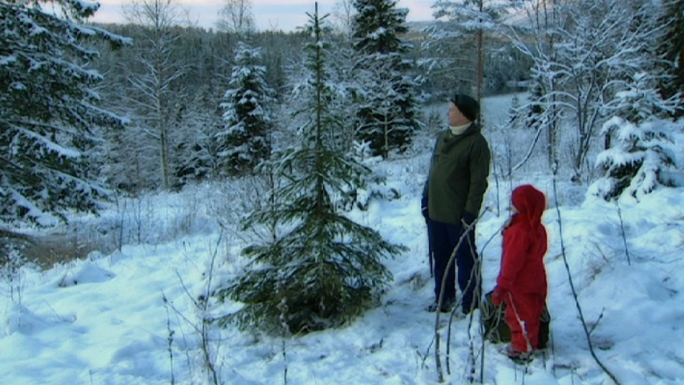 Linus i Svingen