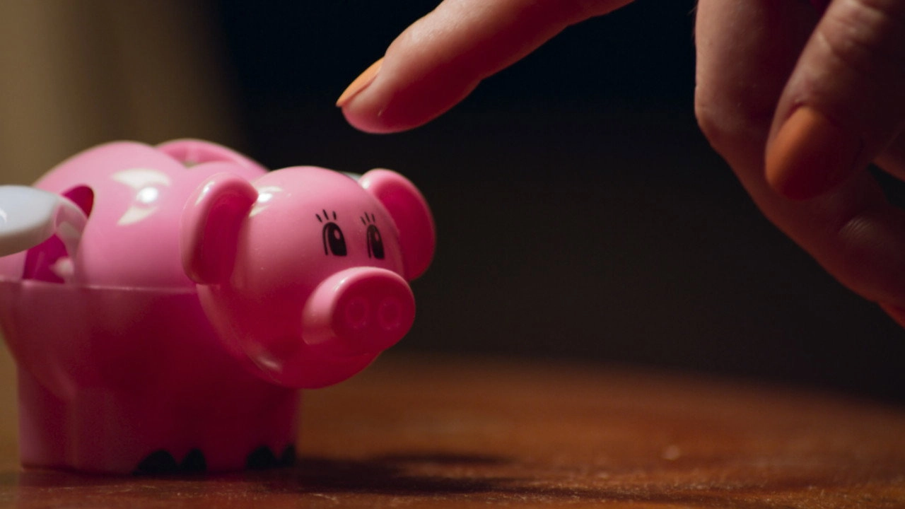 Pay Pig
