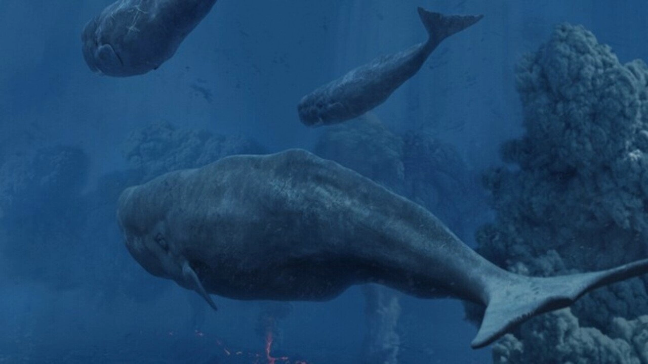 Ocean Odyssey