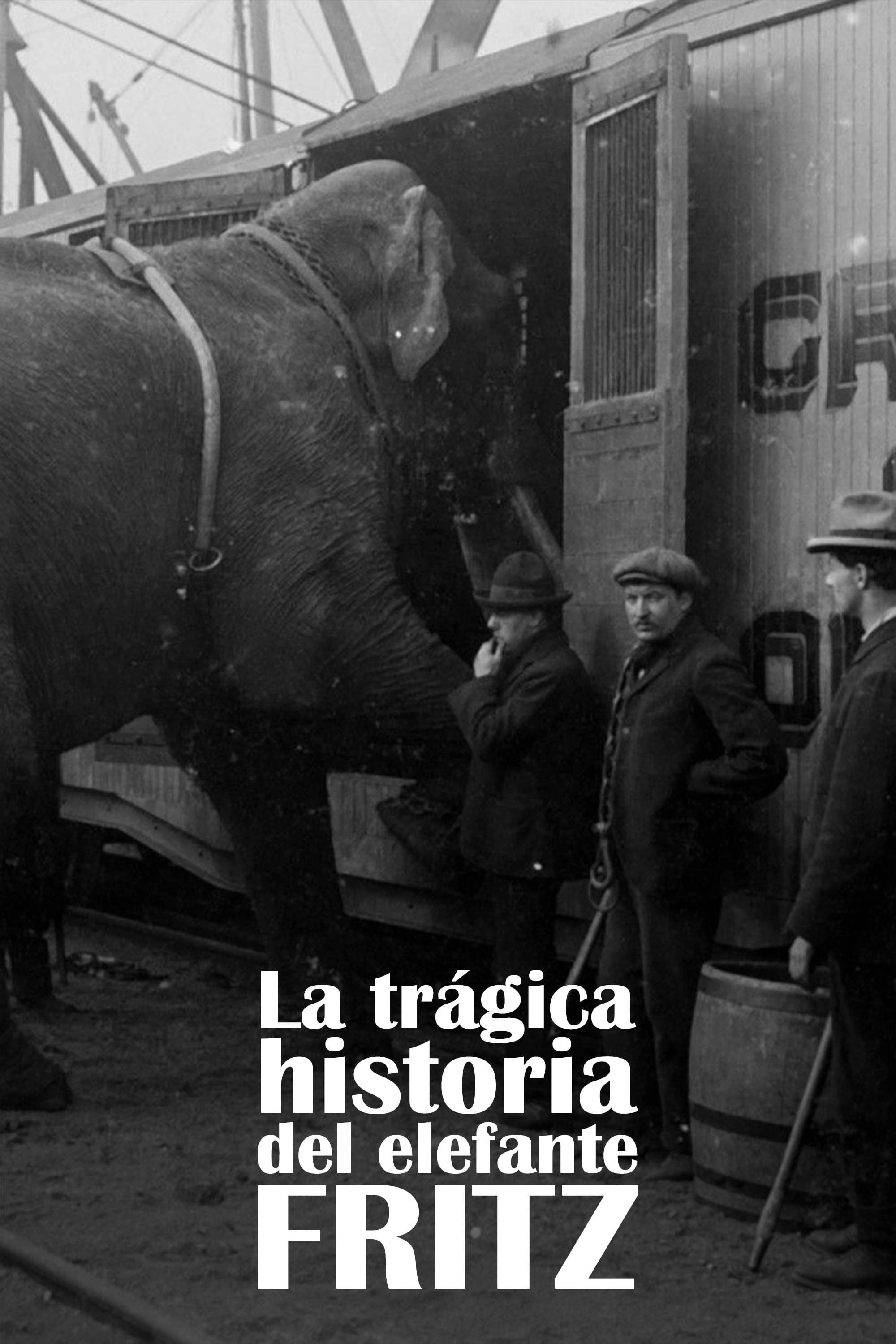 The Tragic Story of Fritz the Elephant