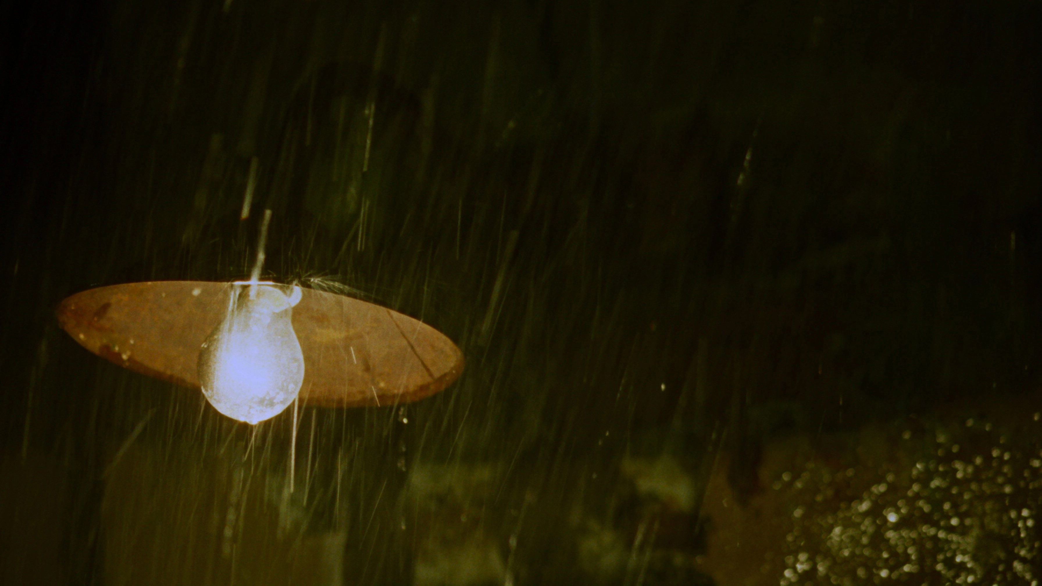 In the Mood for Love
