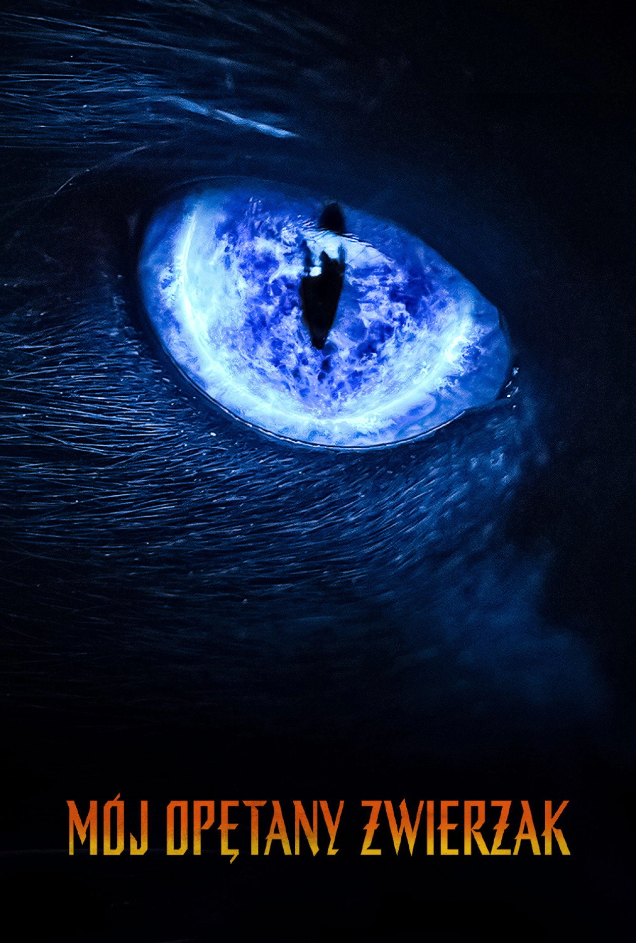 Eli Roth Presents: My Possessed Pet