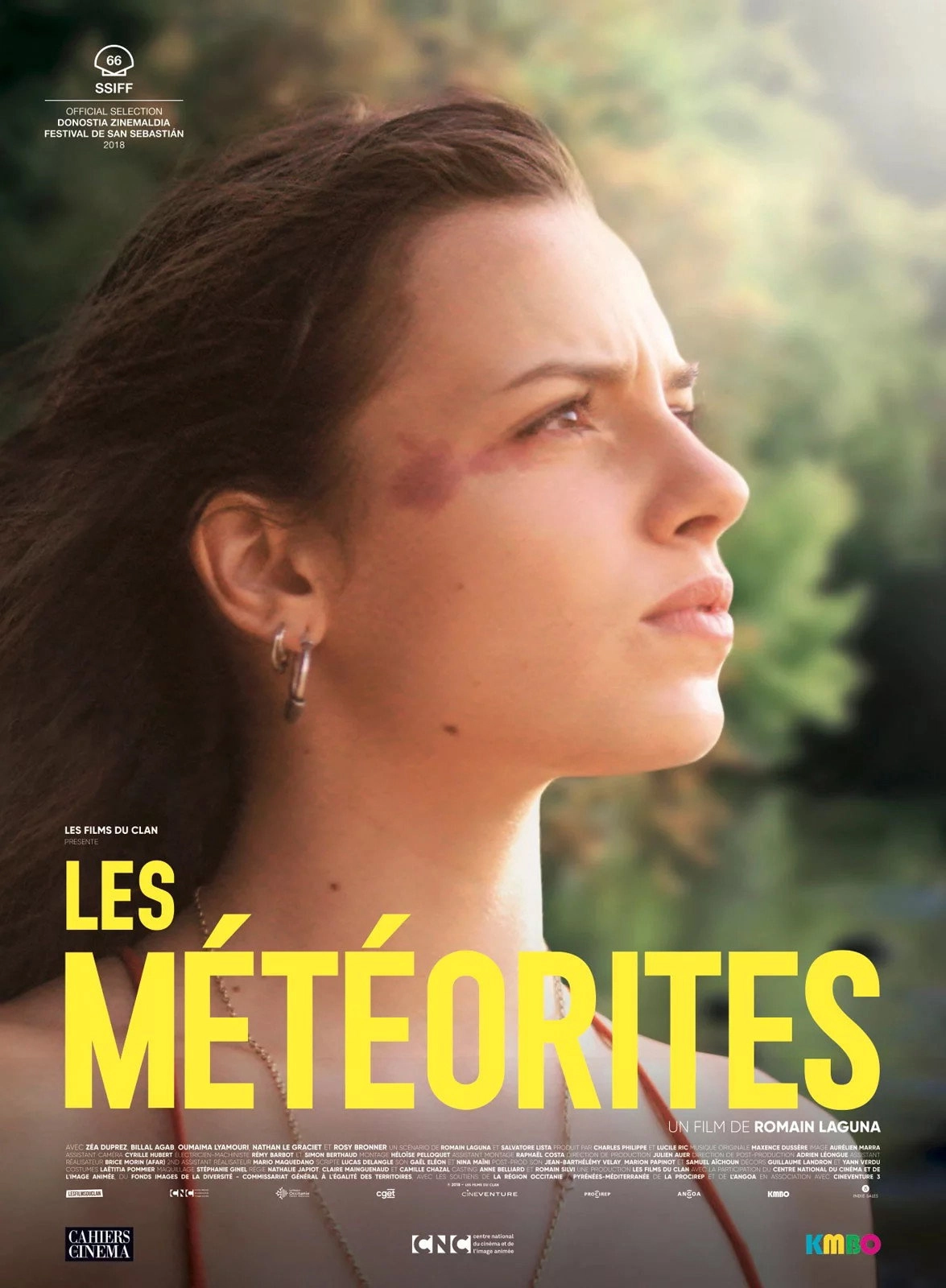 Meteorites