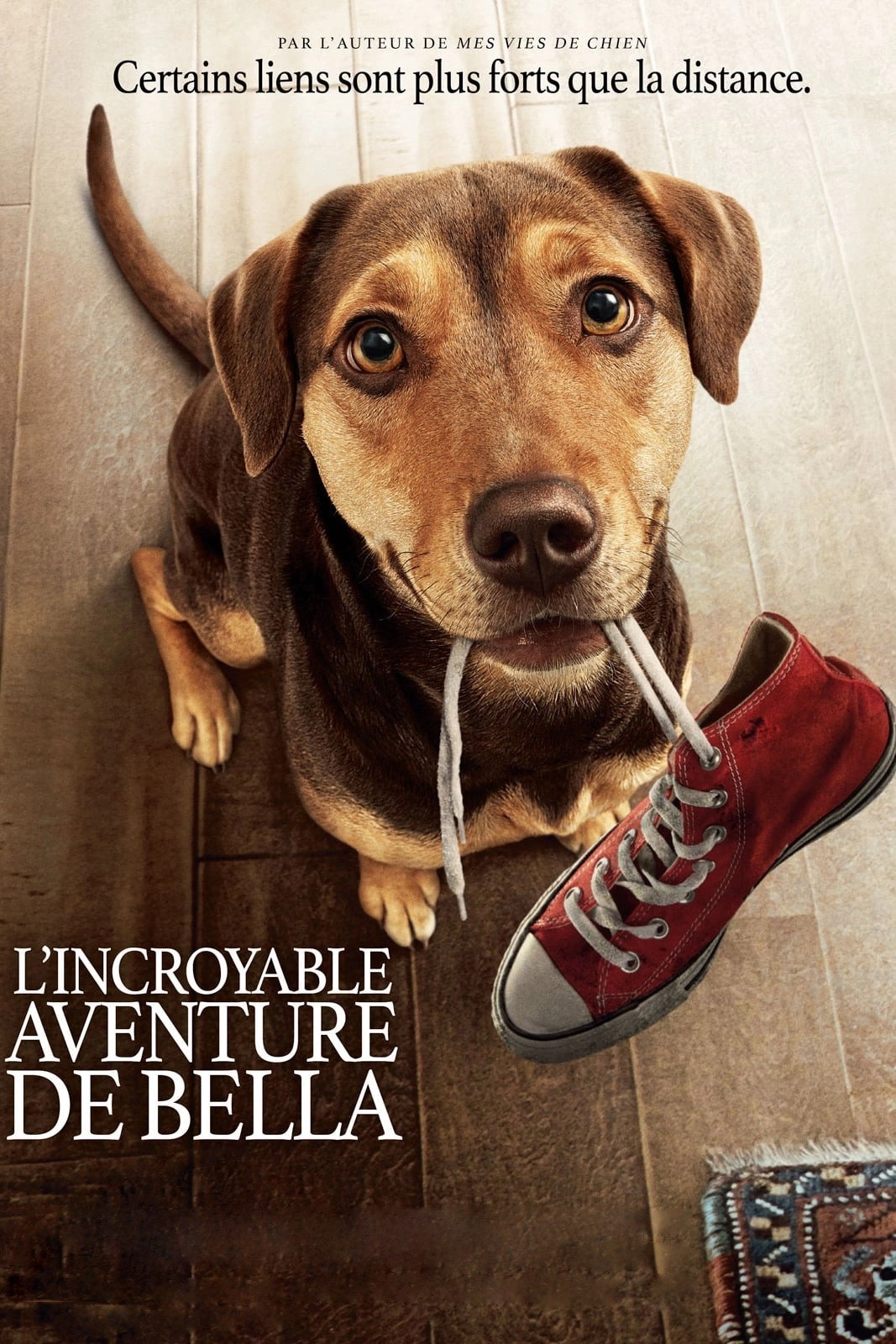 A Dog's Way Home