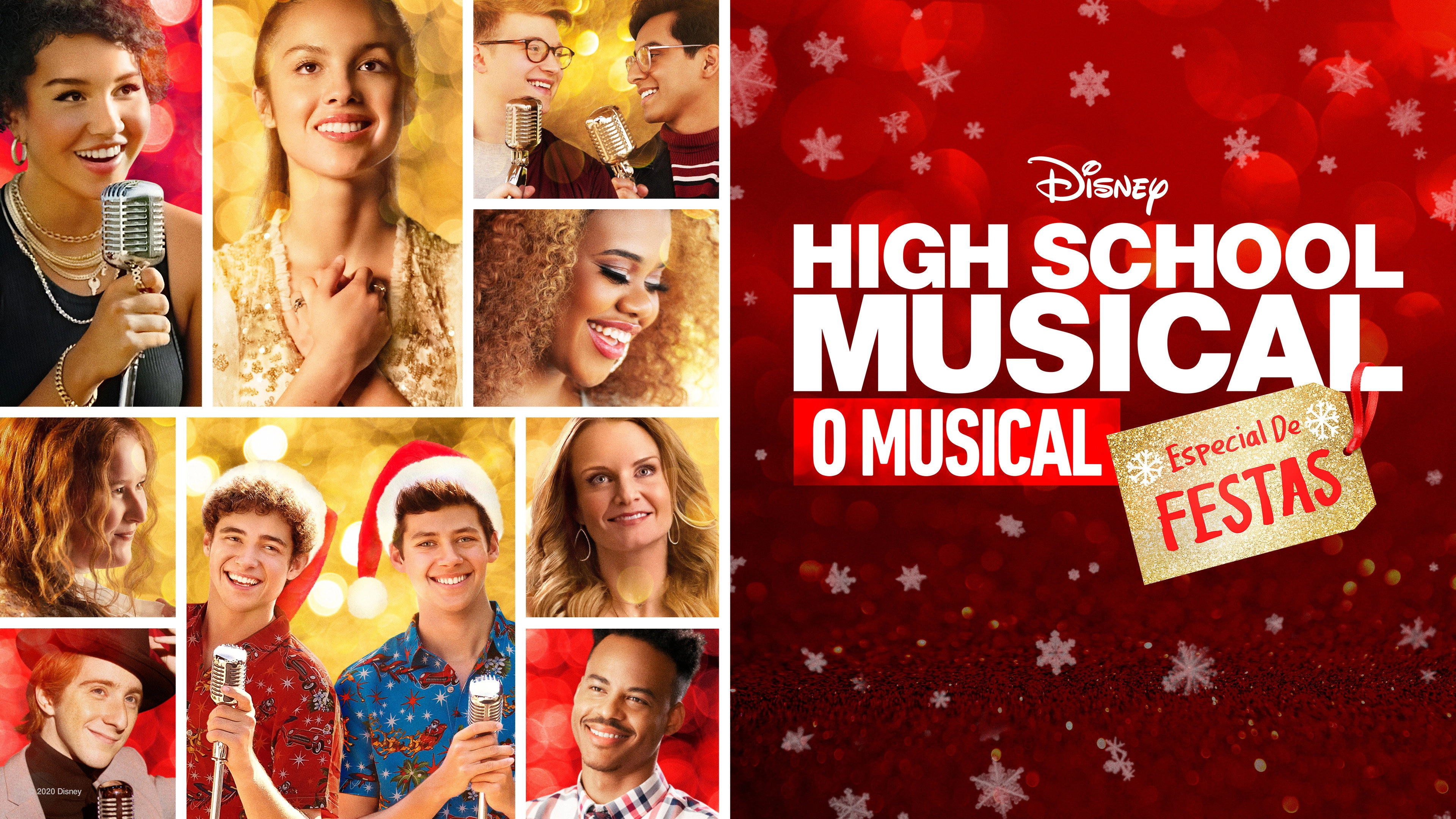 High School Musical: The Musical: The Holiday Special