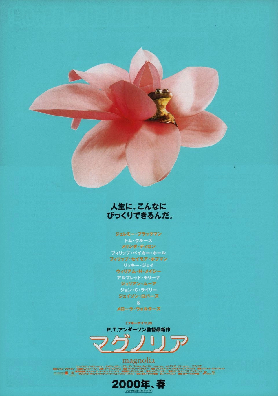 Magnolia