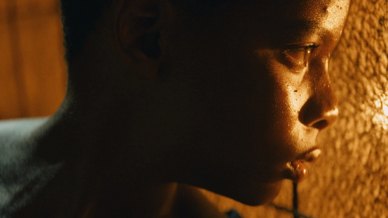 Tropic of Violence