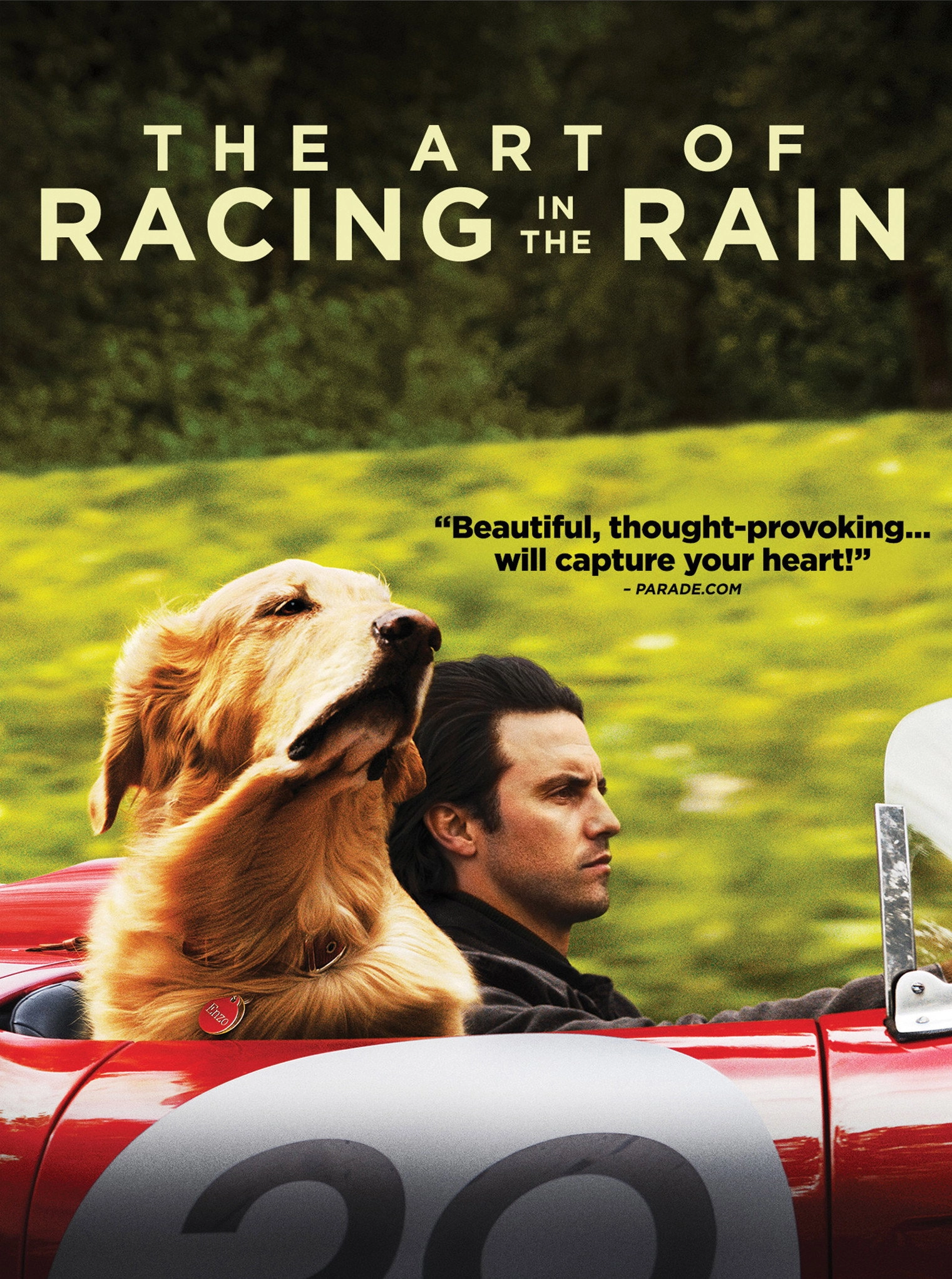 The Art of Racing in the Rain