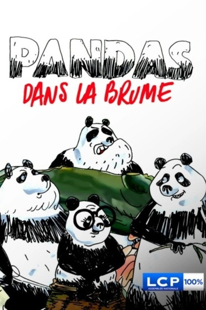 Pandas in the Mist