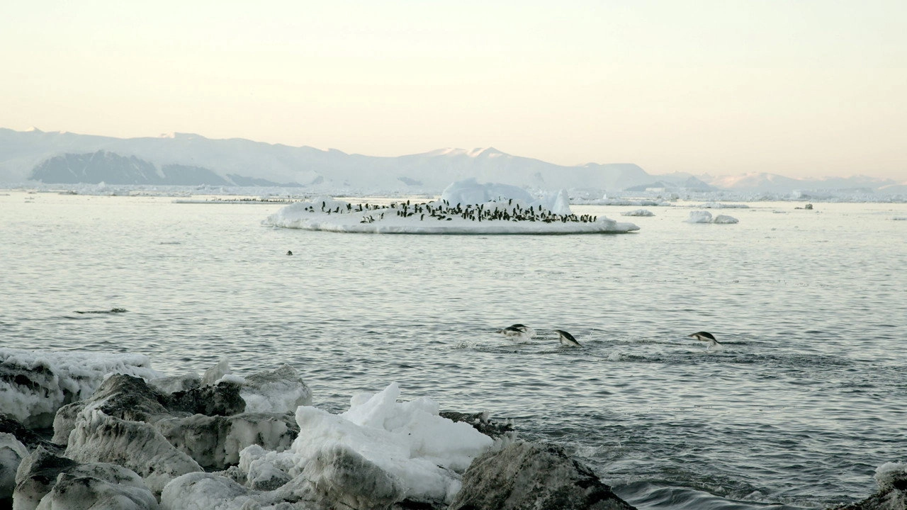Antarctica: The Frozen Time