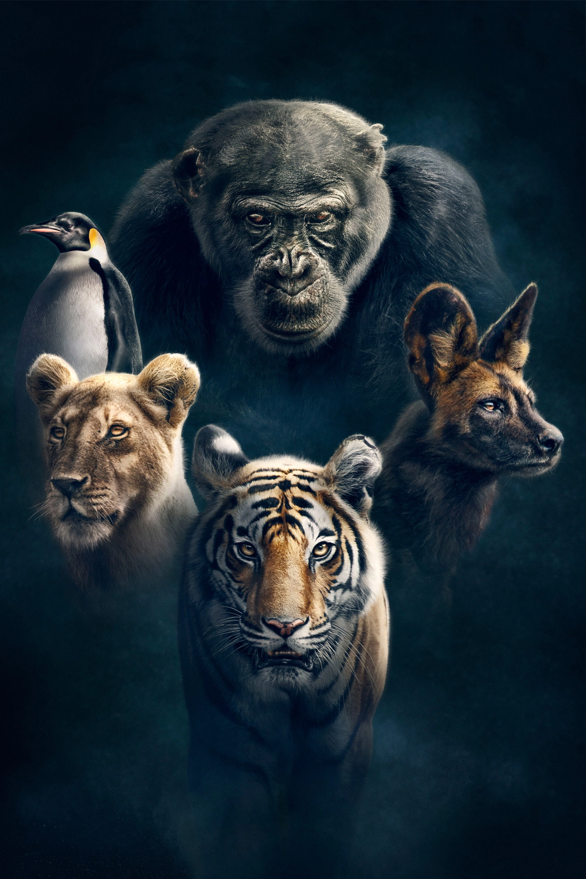 Dynasties