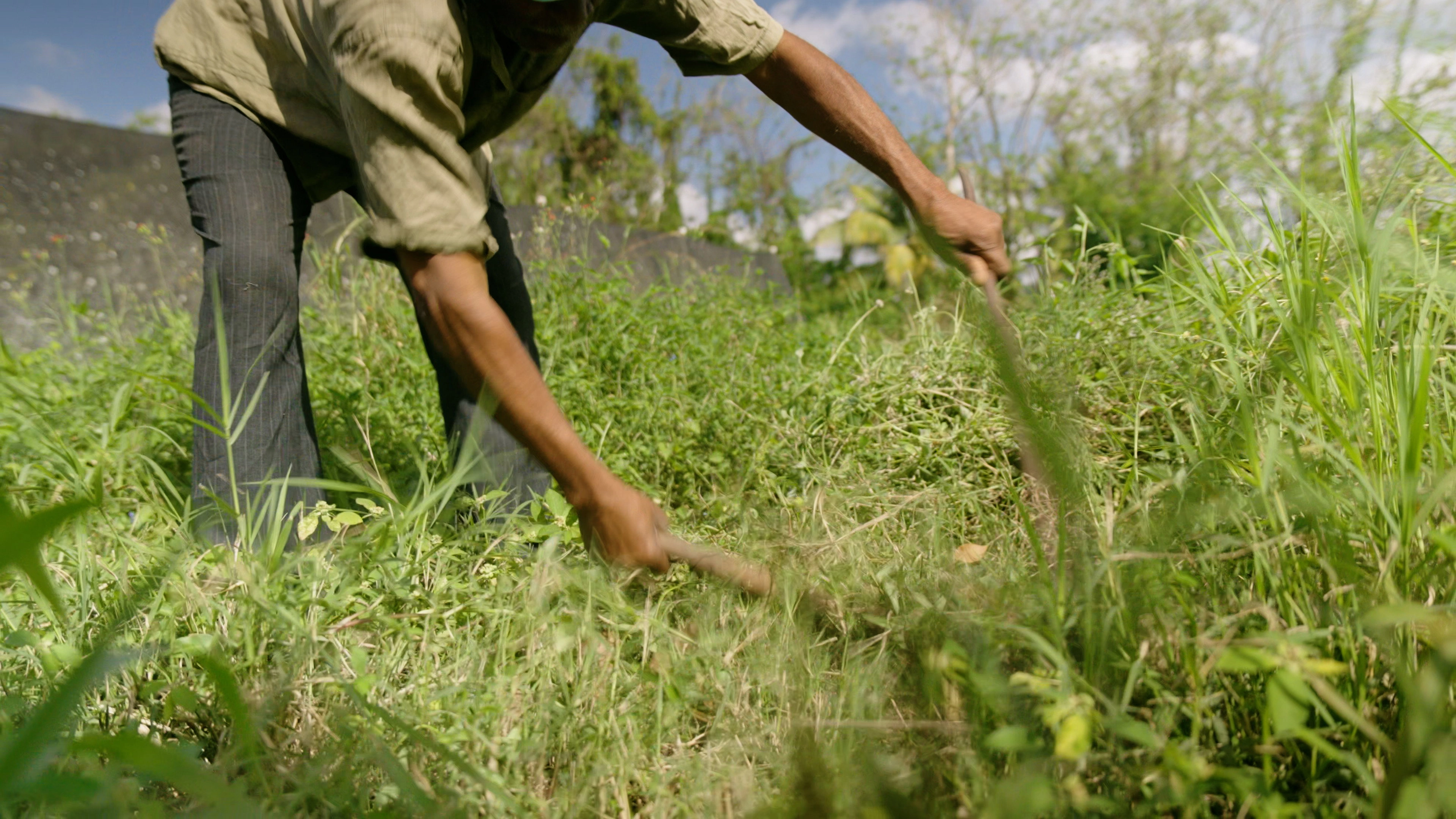 Mamá Tingó: Living memory of the Dominican land