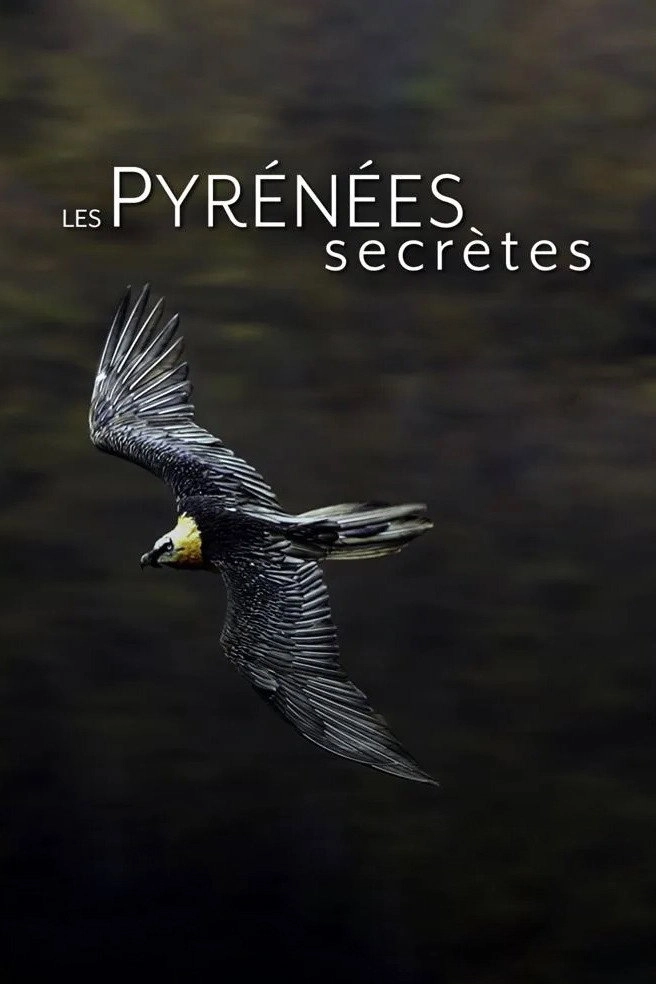 Les Pyrénées secrètes