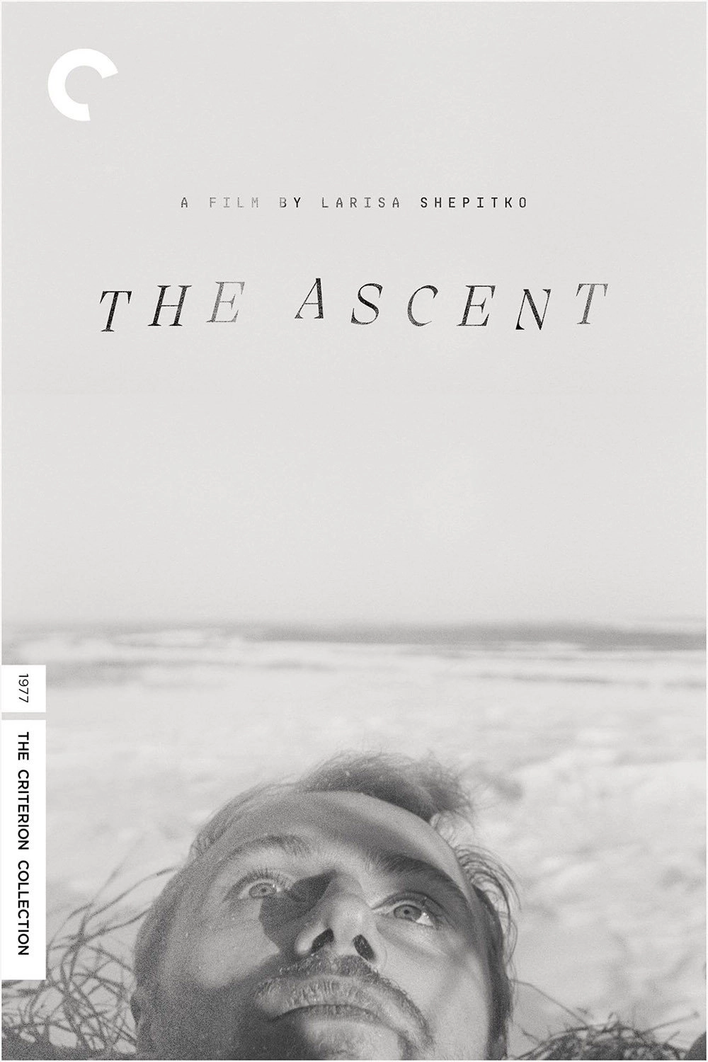 The Ascent