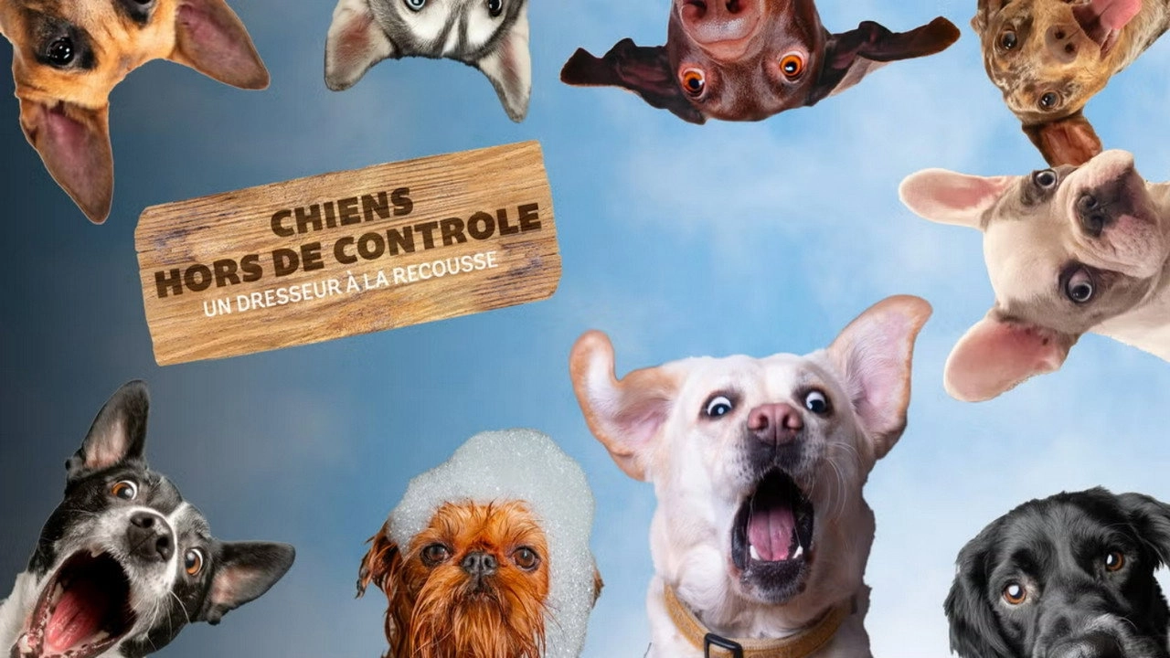 Dogs Behaving (Very) Badly
