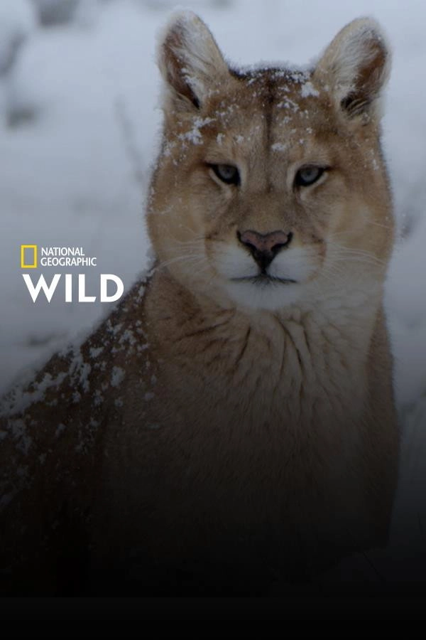 Winter's Hidden Wonders