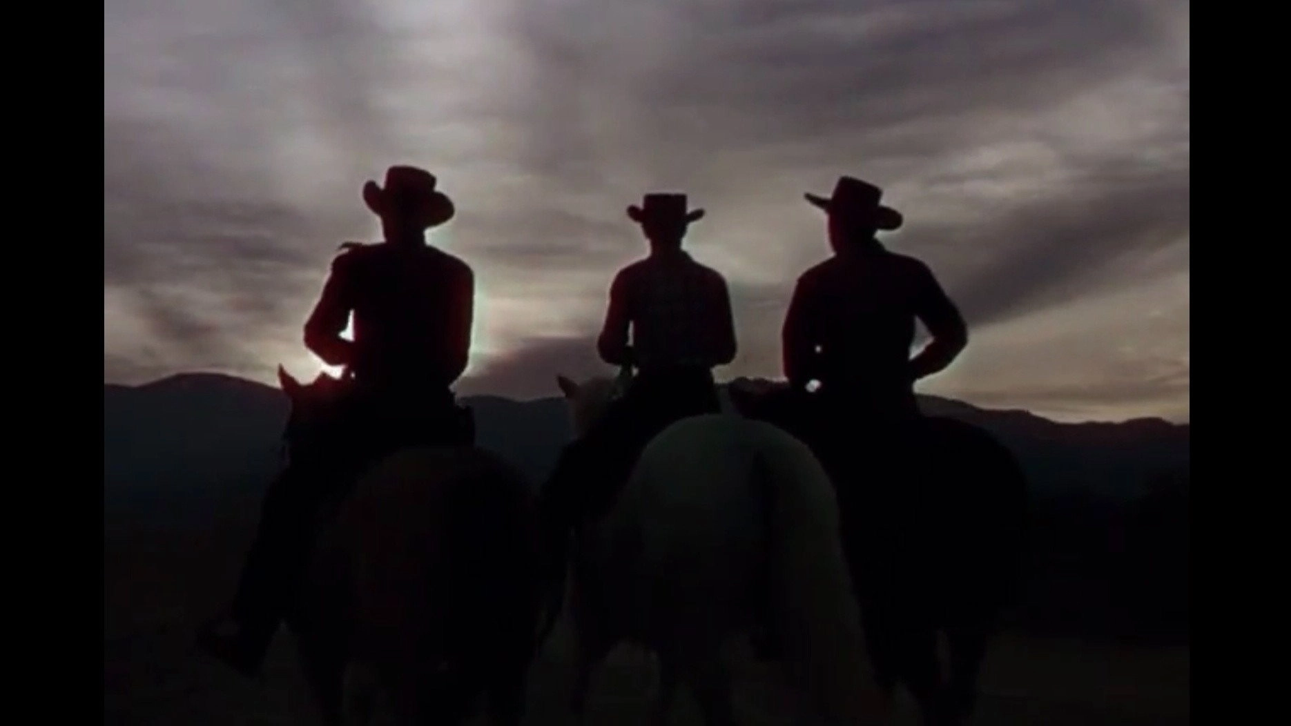 Cattle Drive