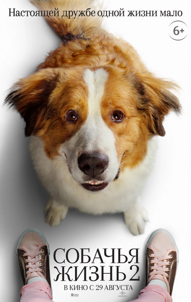 A Dog's Journey
