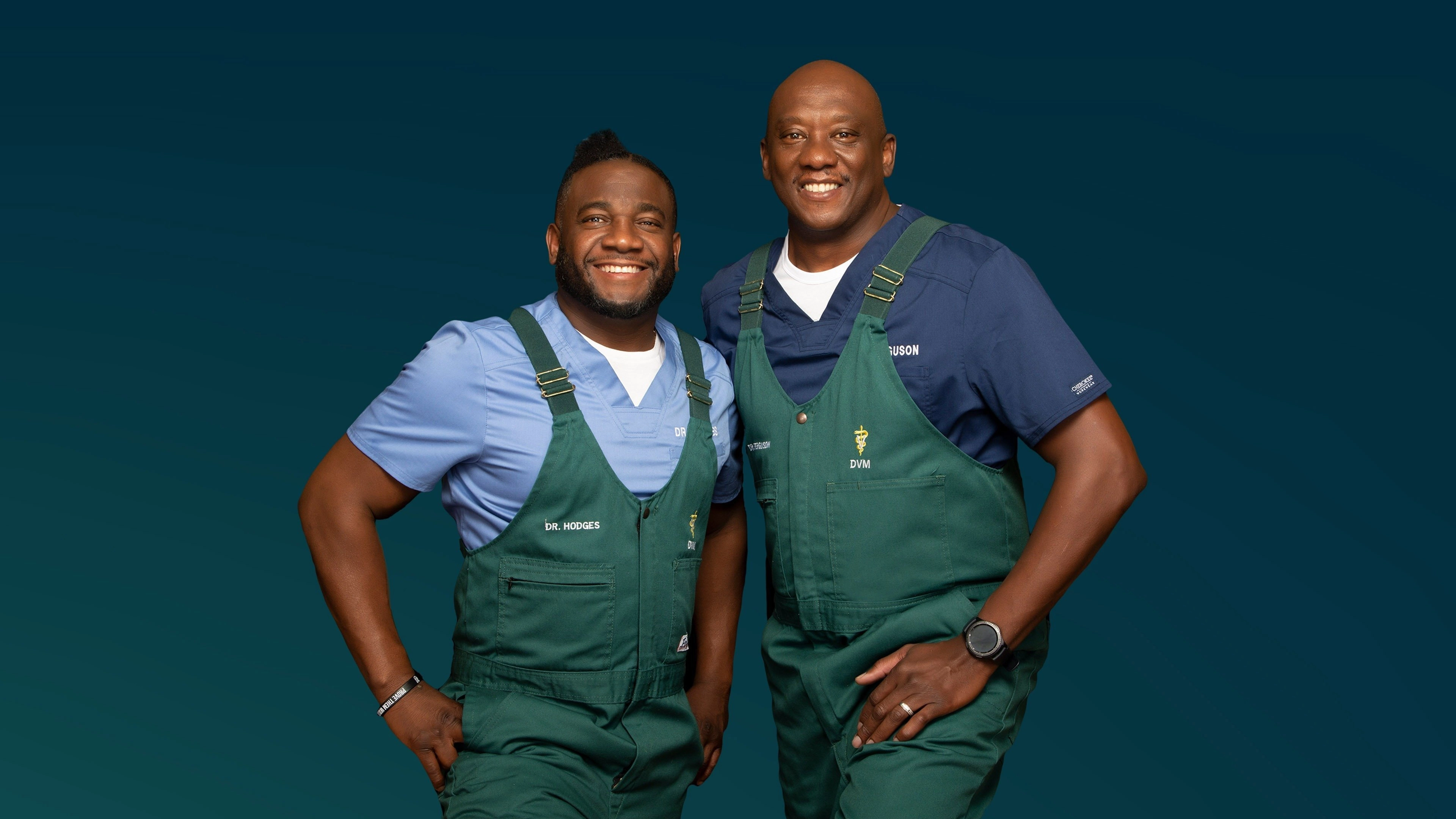 Critter Fixers: Country Vets