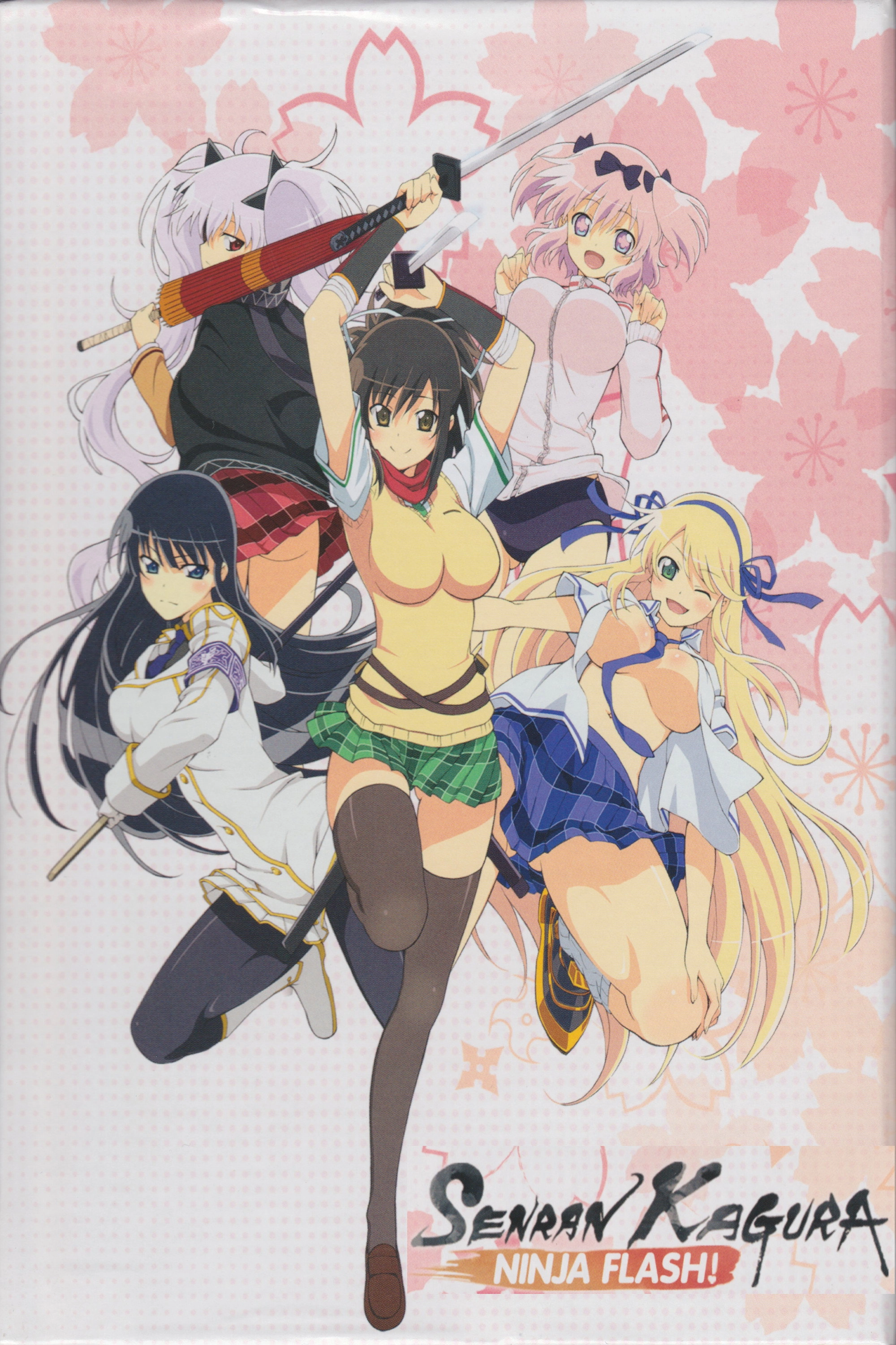 Senran Kagura: Ninja Flash