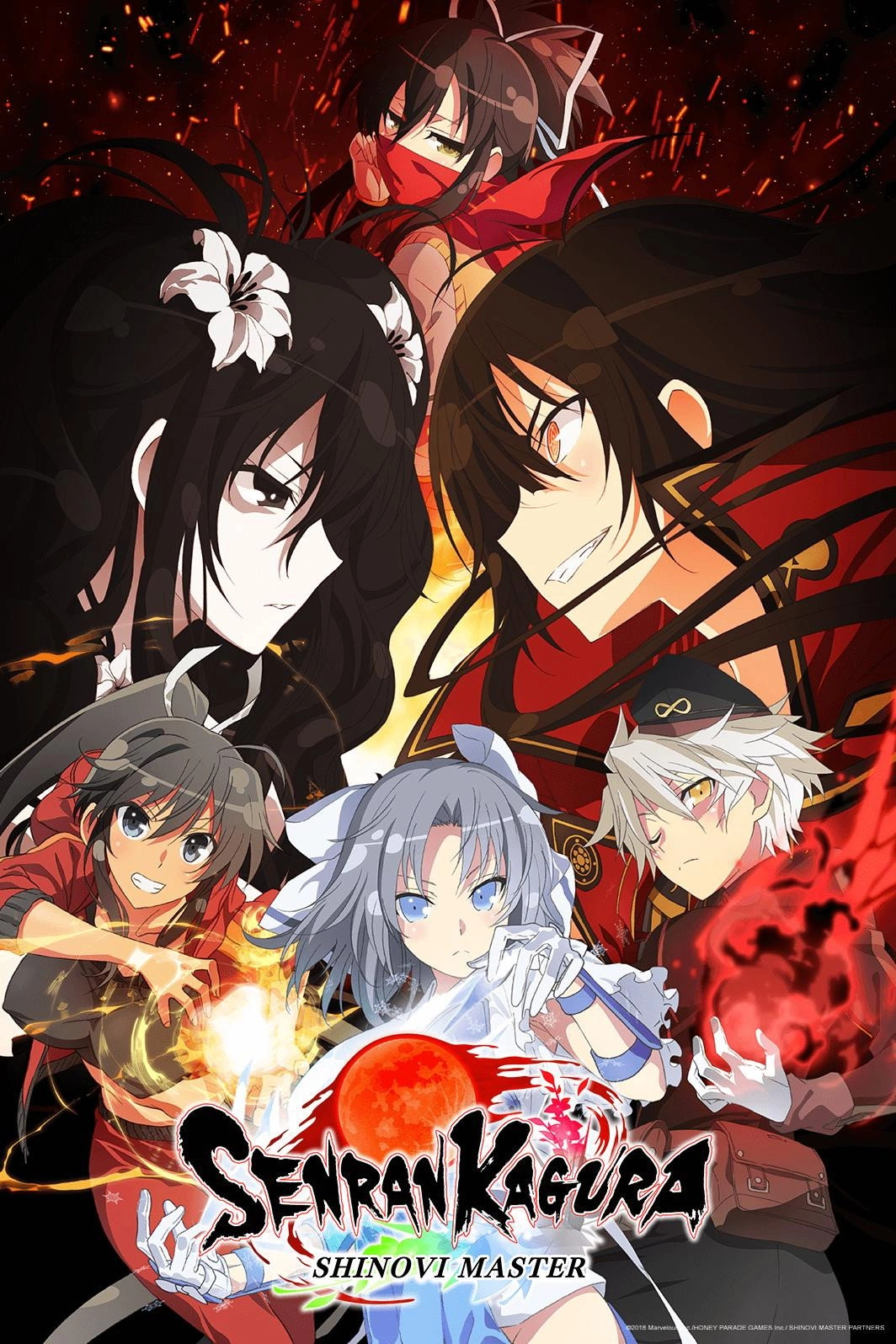 Senran Kagura: Ninja Flash