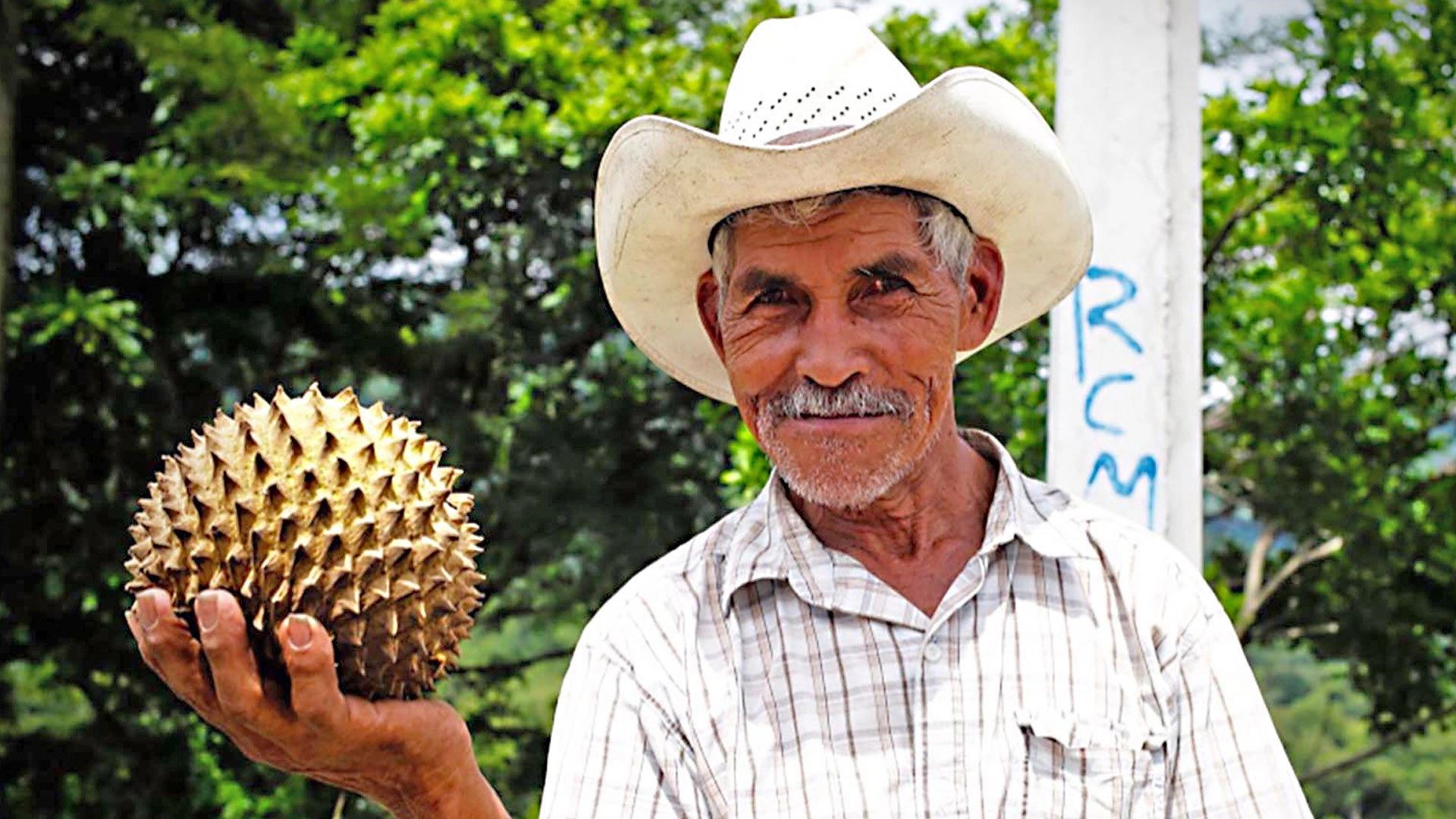 Walking the Americas