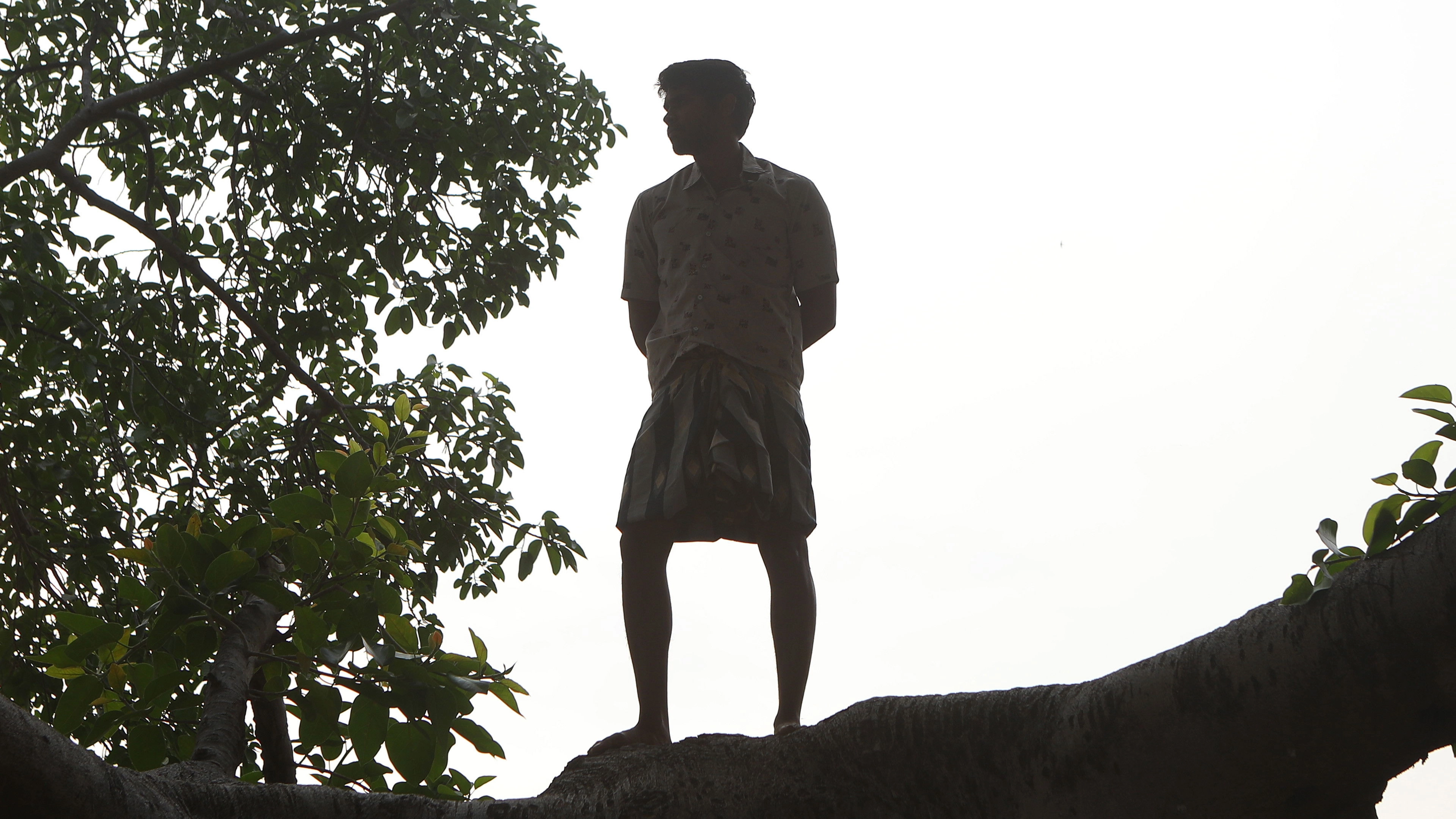 Bison Kaalamaadan
