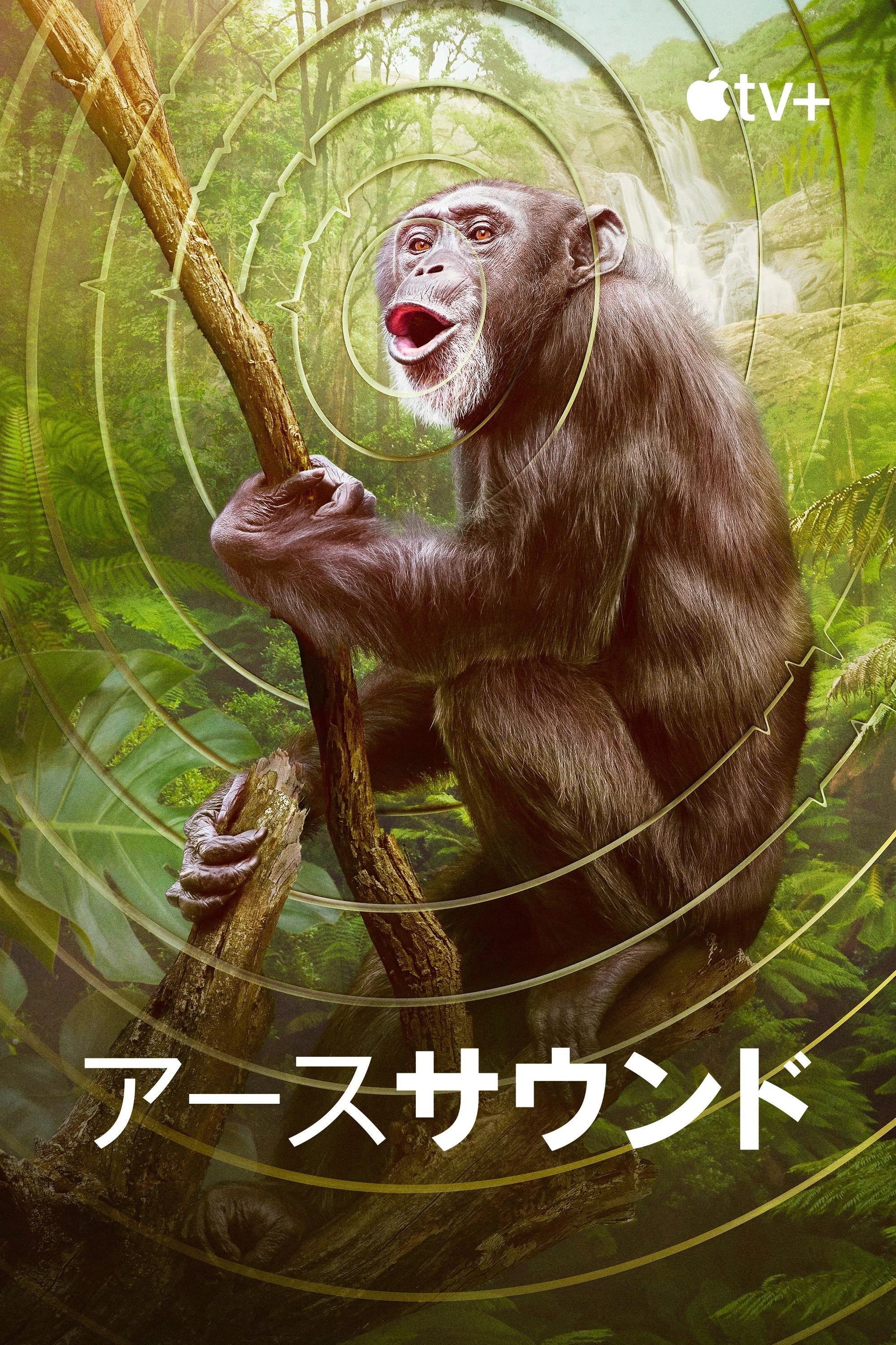 Earthsounds